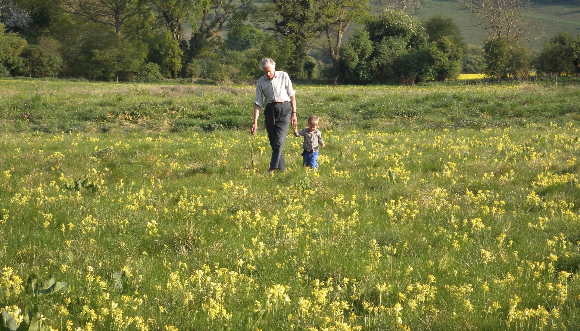 Charles Flower's Wildflower Meadow Creation Workshop 1