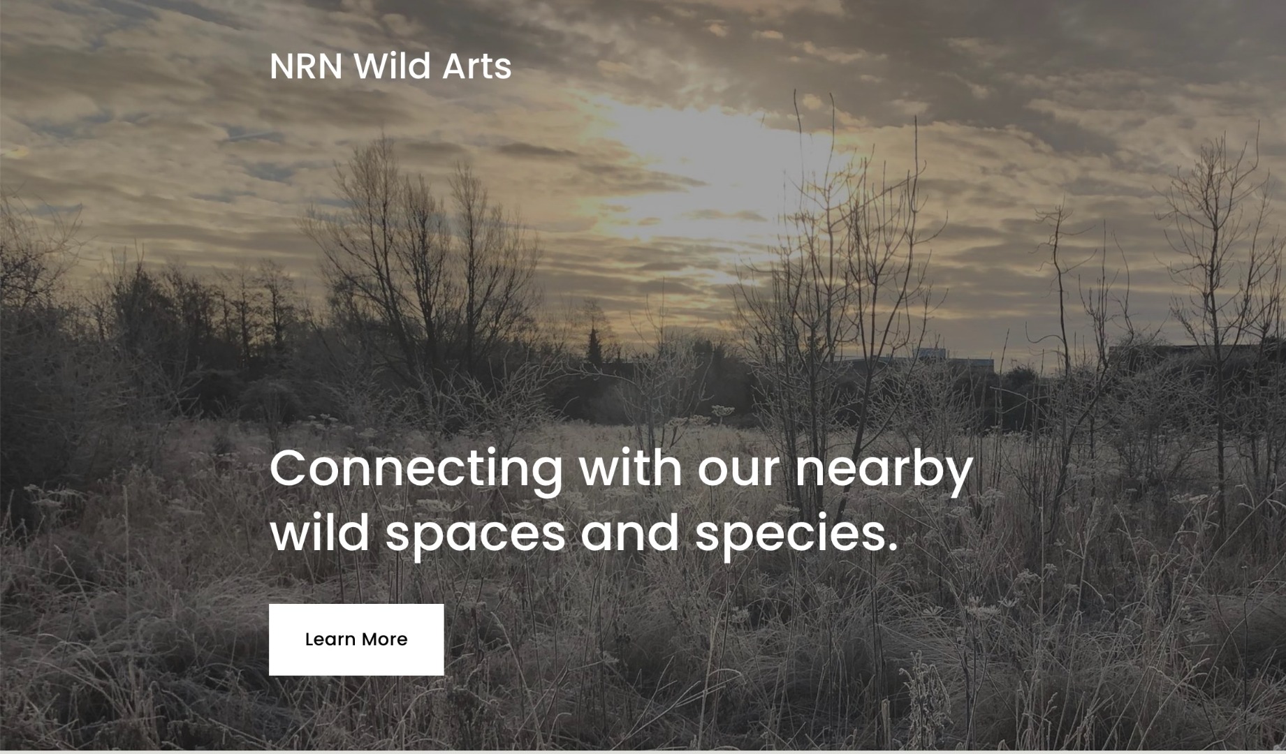 Wild Arts Home Page