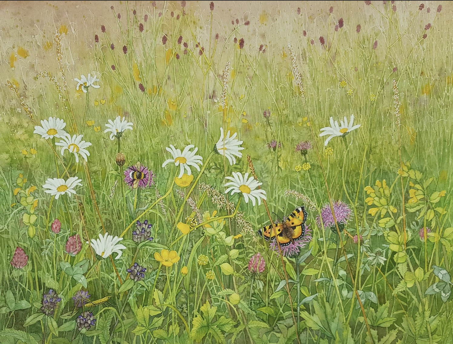 Art in the Meadow - Botanical Drawing Workshop