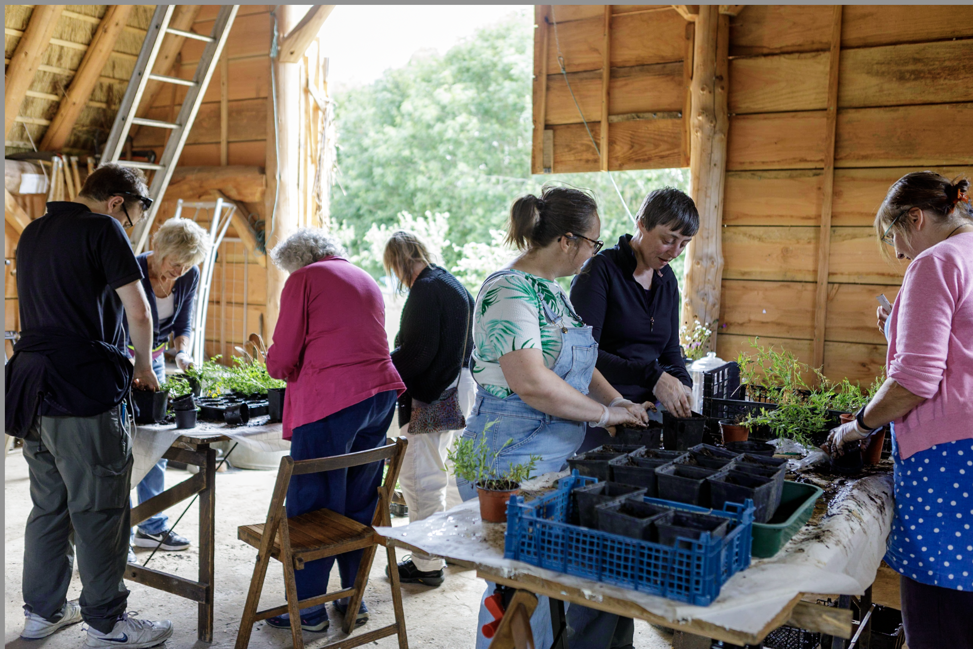 Pot on the wildflowers propagated by NRN's Plant Group