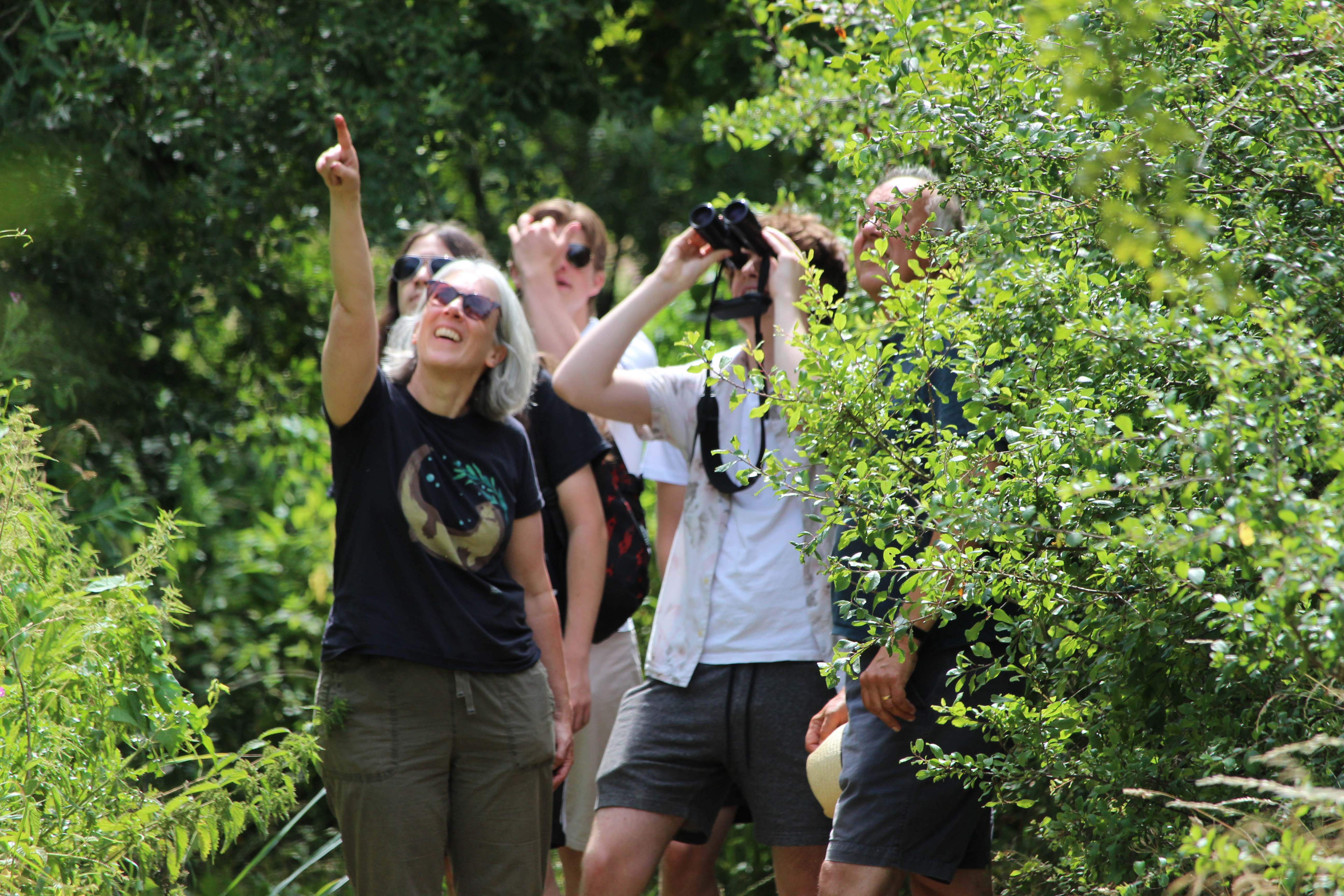 Bird ID Walk: Learn your Tweets and Hoots