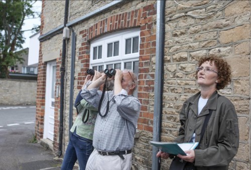 Bird ID Walk: Learn your Tweets and Hoots