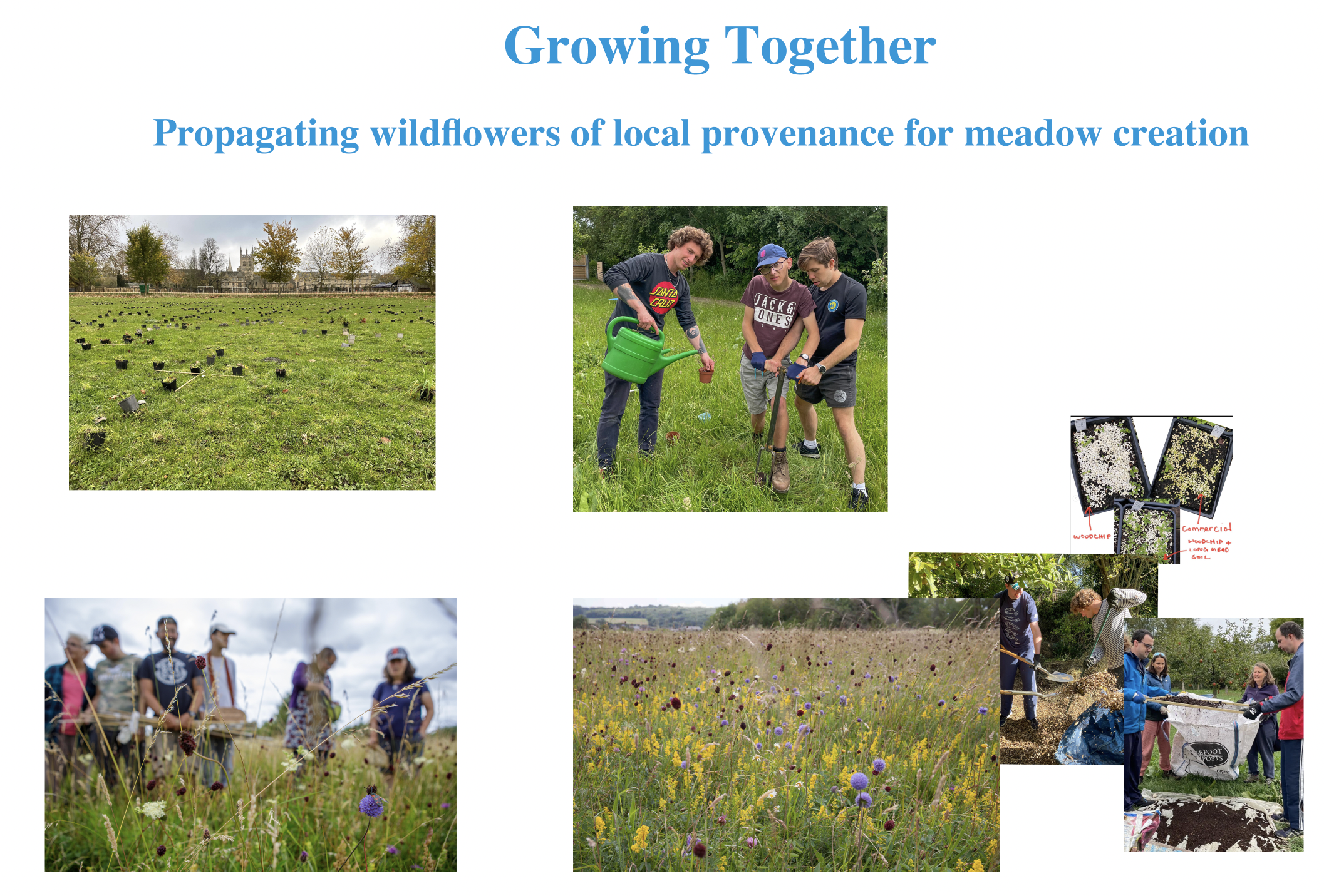 Making Meadows - Workshop for Facilitators