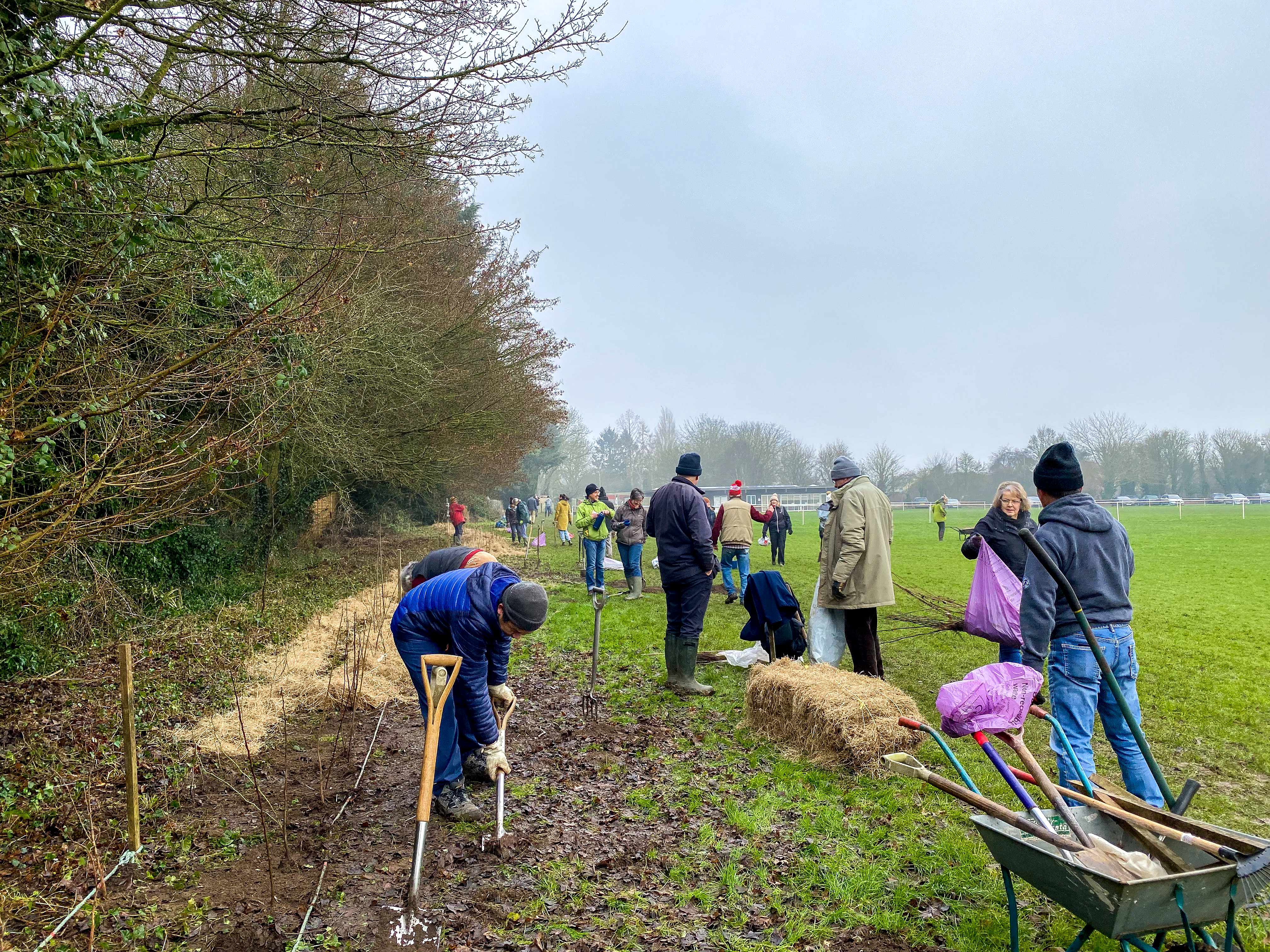 Come Celebrate our winter weather with some Hedge-Planting!