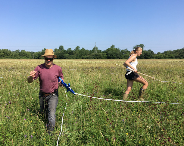 Come and create our newest Wildflower meadows by Swinford Lock