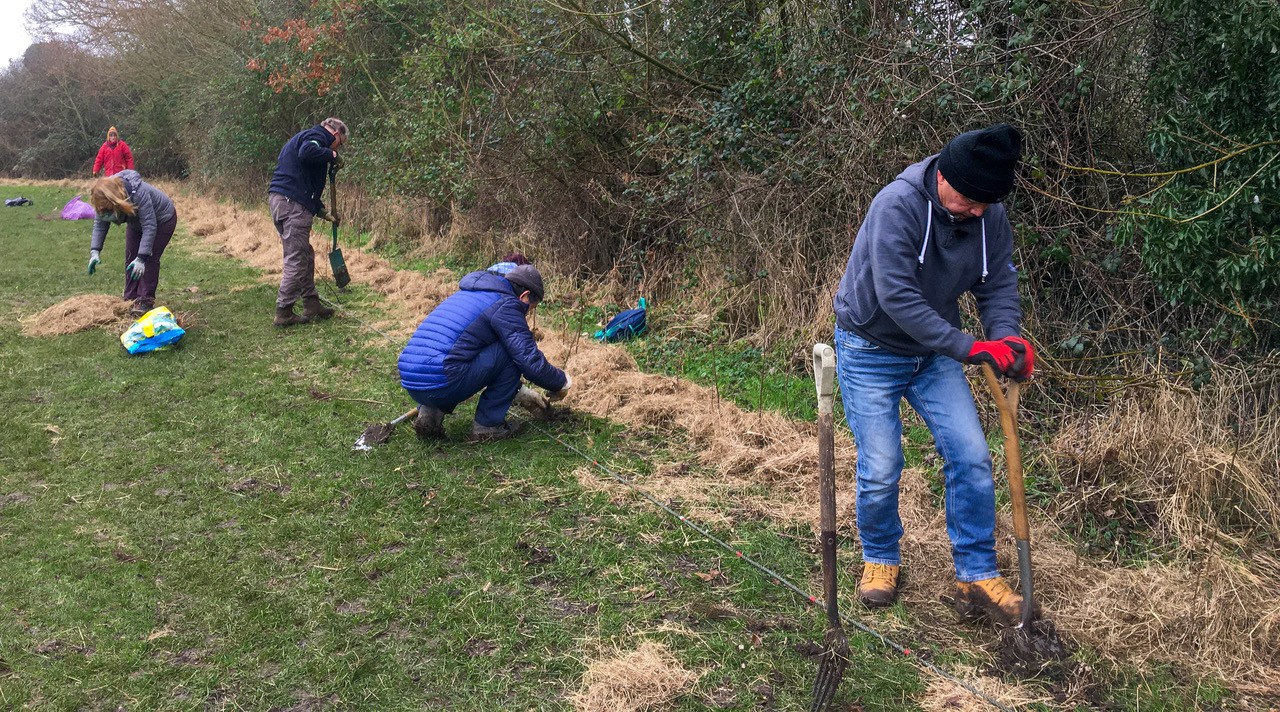 Hedge-laying Workshop - Day Two