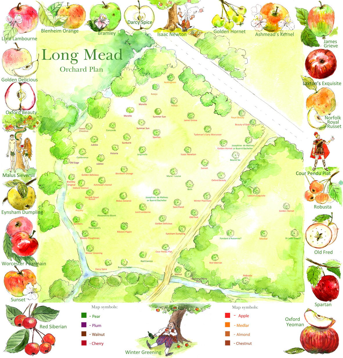 Orchard Pruning Workshop