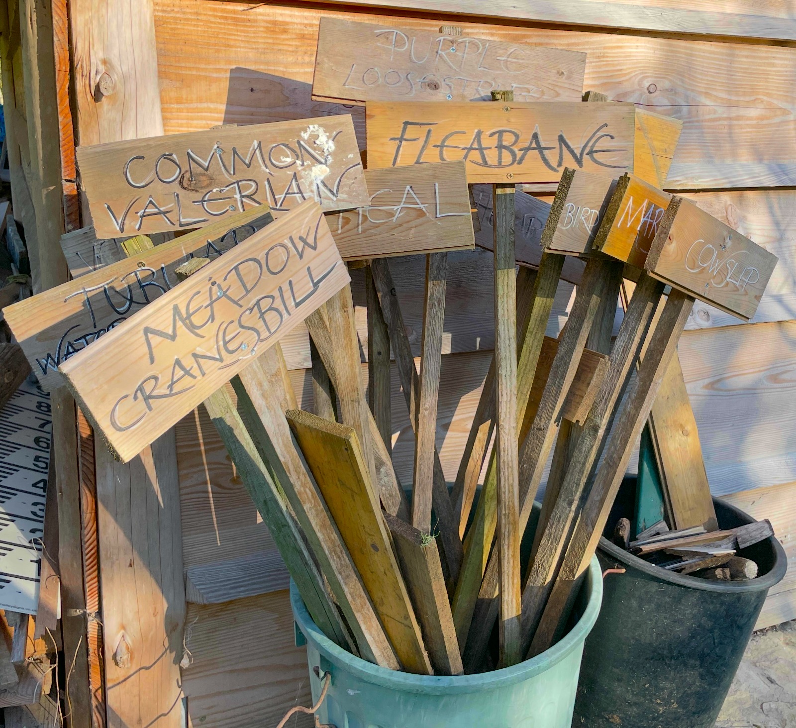 Community Meadow Restoration Day: Spring