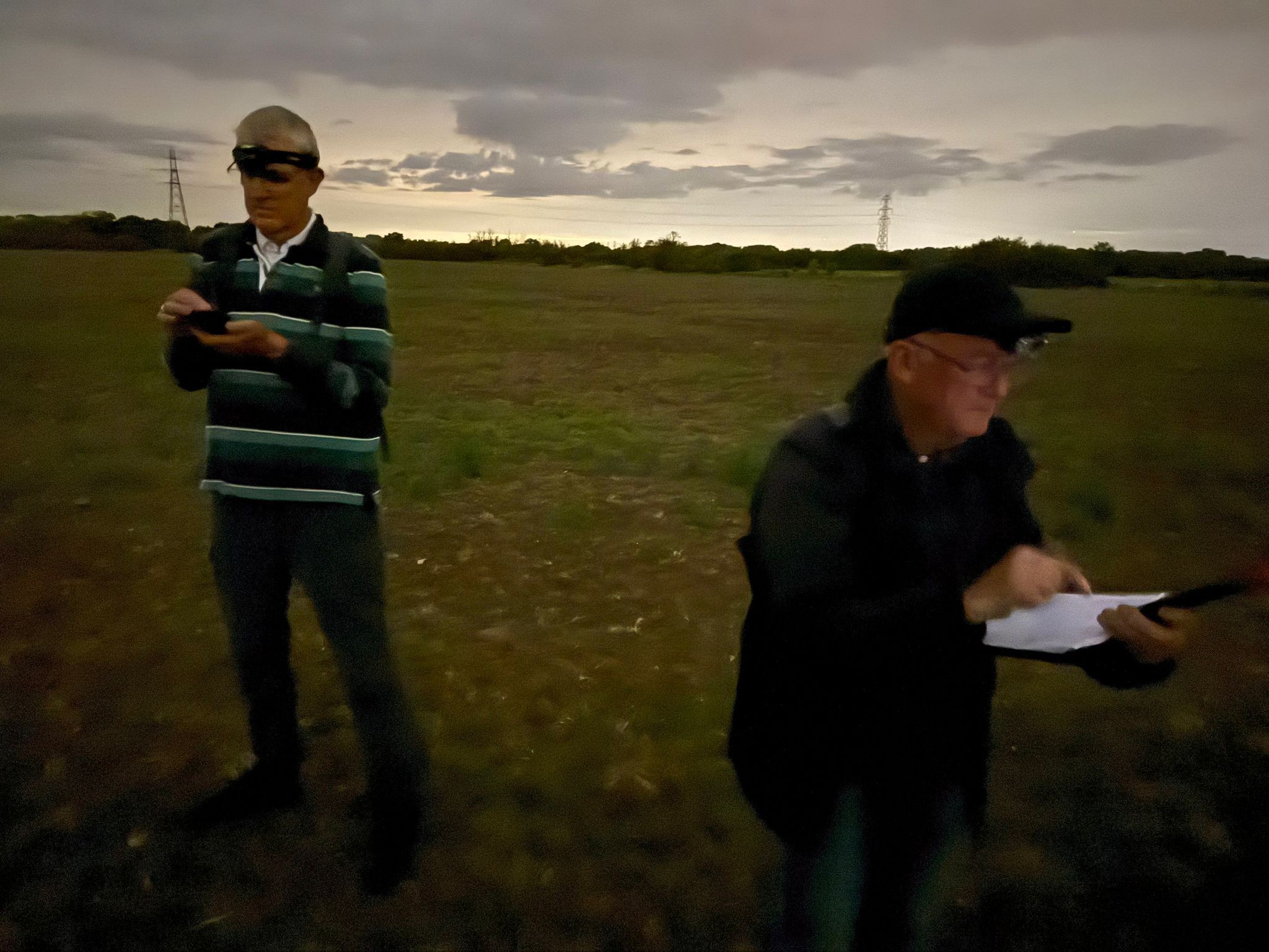 NRN Bat Survey