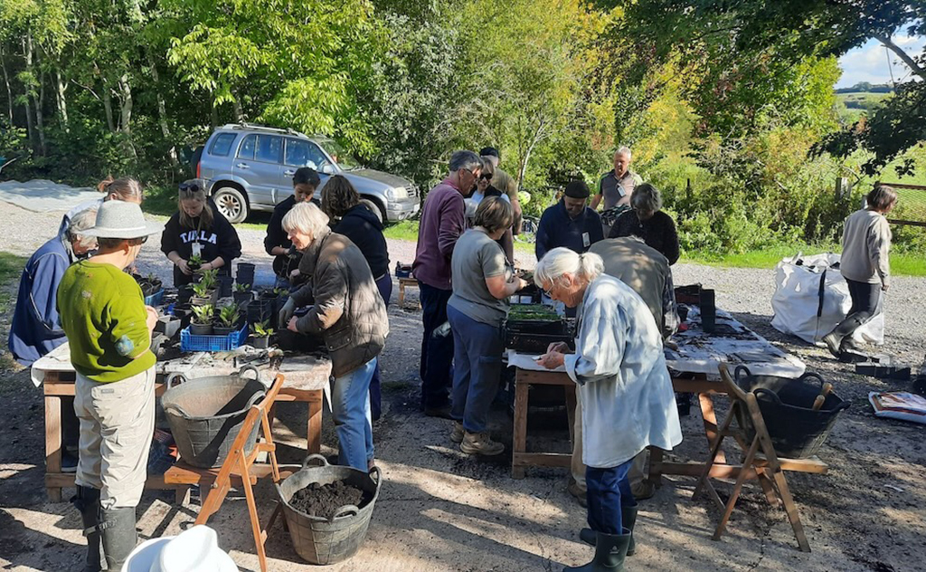 Community Meadow Restoration Day: Late Summer