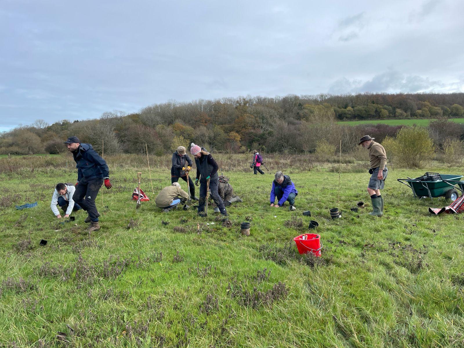 Community Restoration Day: Wet Woodland / Planting Out