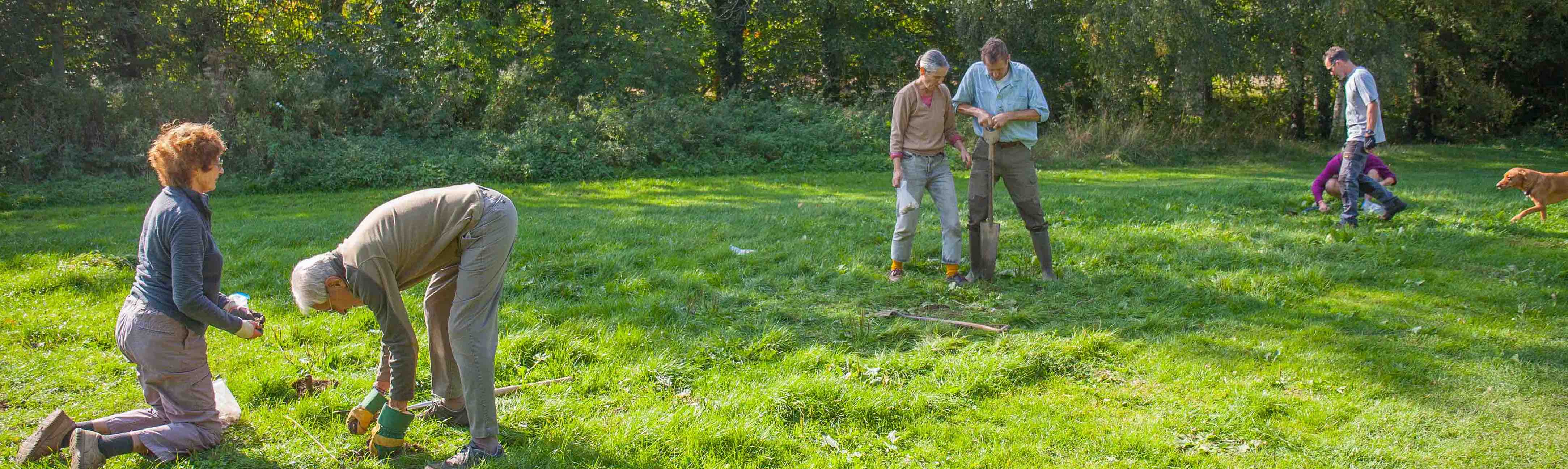 welcome-to-the-nature-recovery-network-oxford-uk