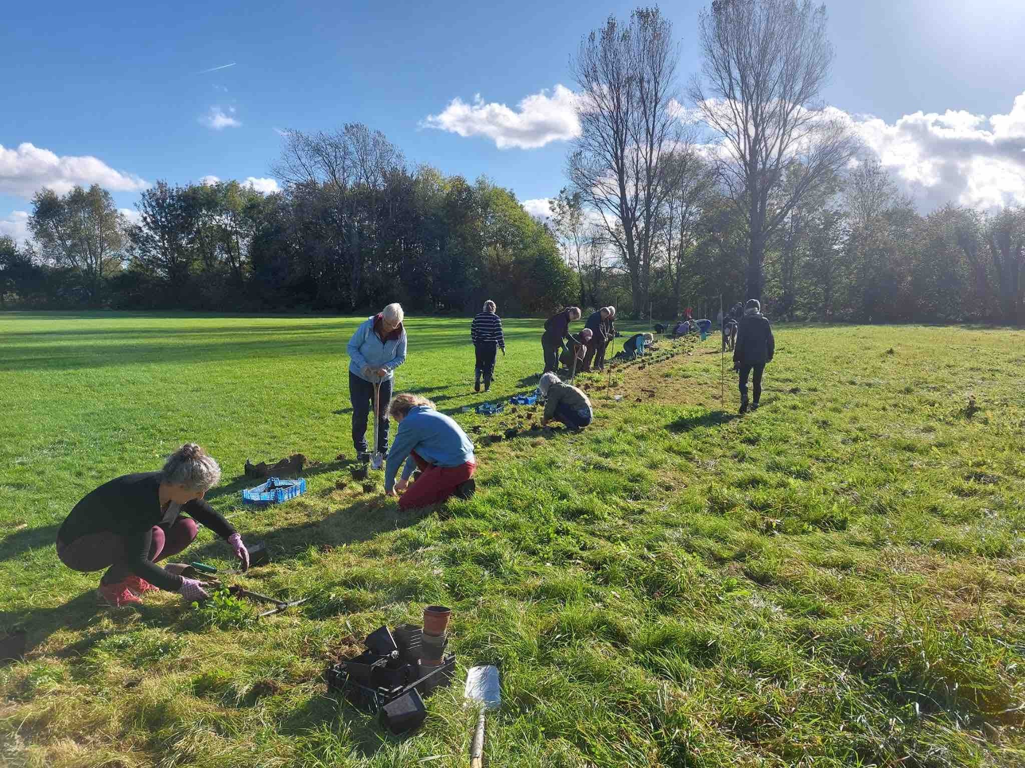 Pthon_busy_planting