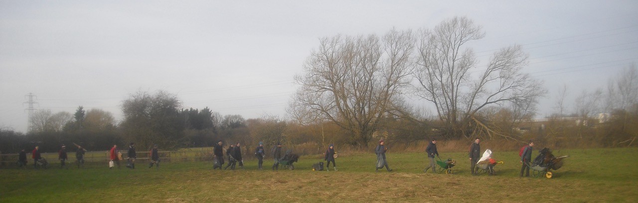 Hedge planting