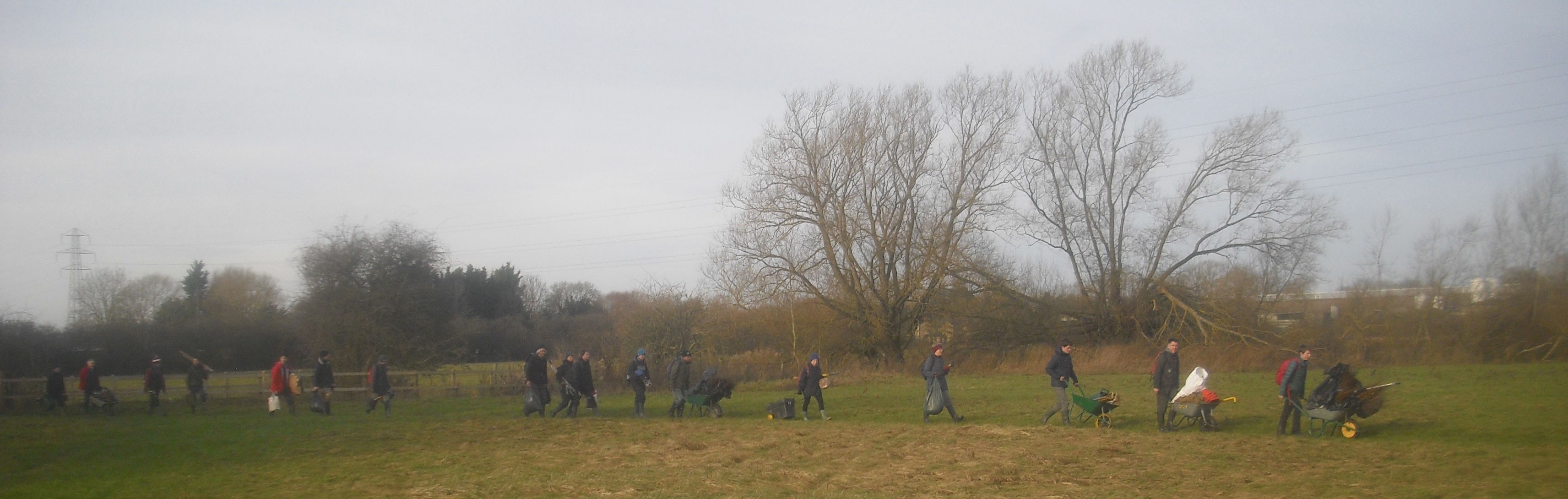 Hedge-planting-