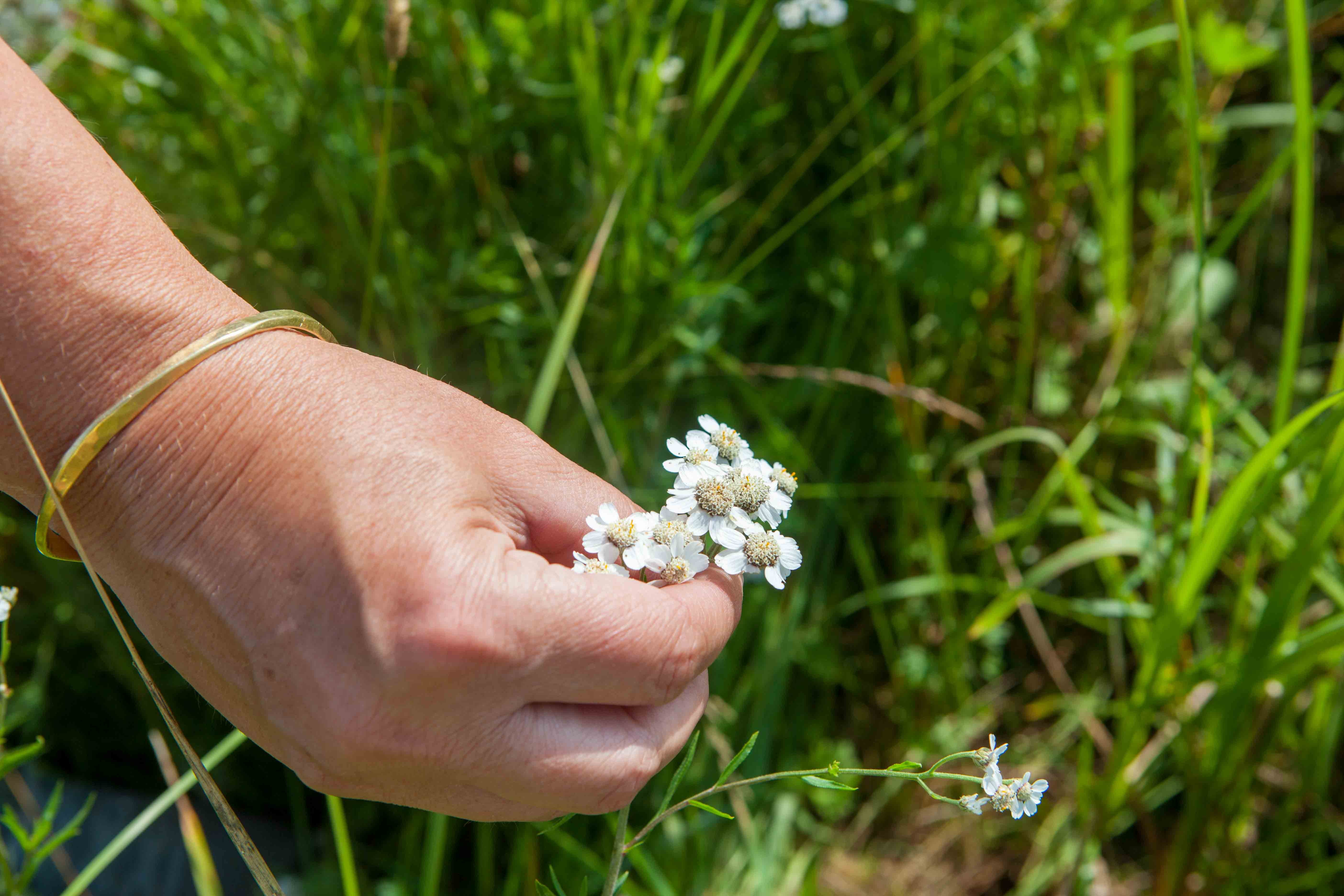 Nicky-5062_hand_flowers