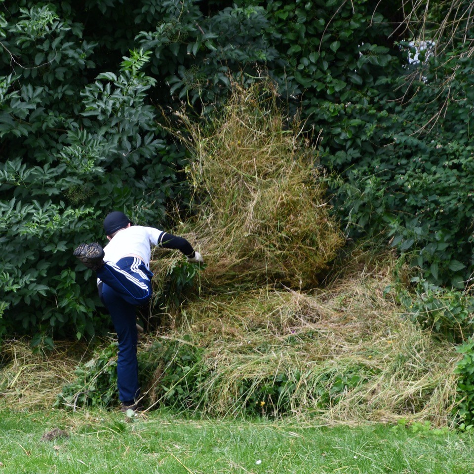 scything_DSC_6290