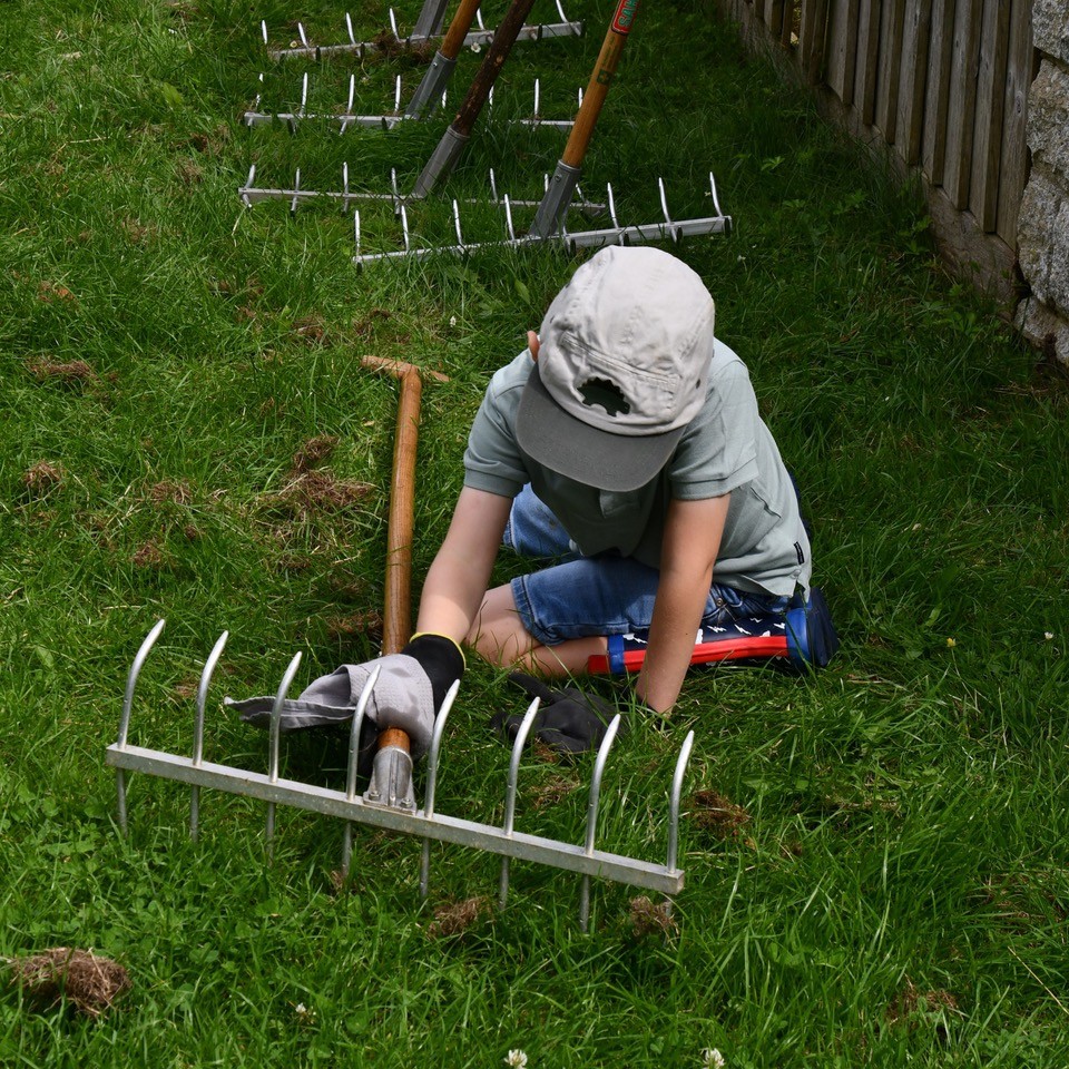 scything_linseed_DSC_6244