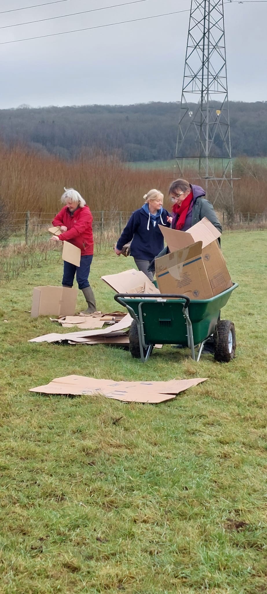 Hedge Mulching Feb 25