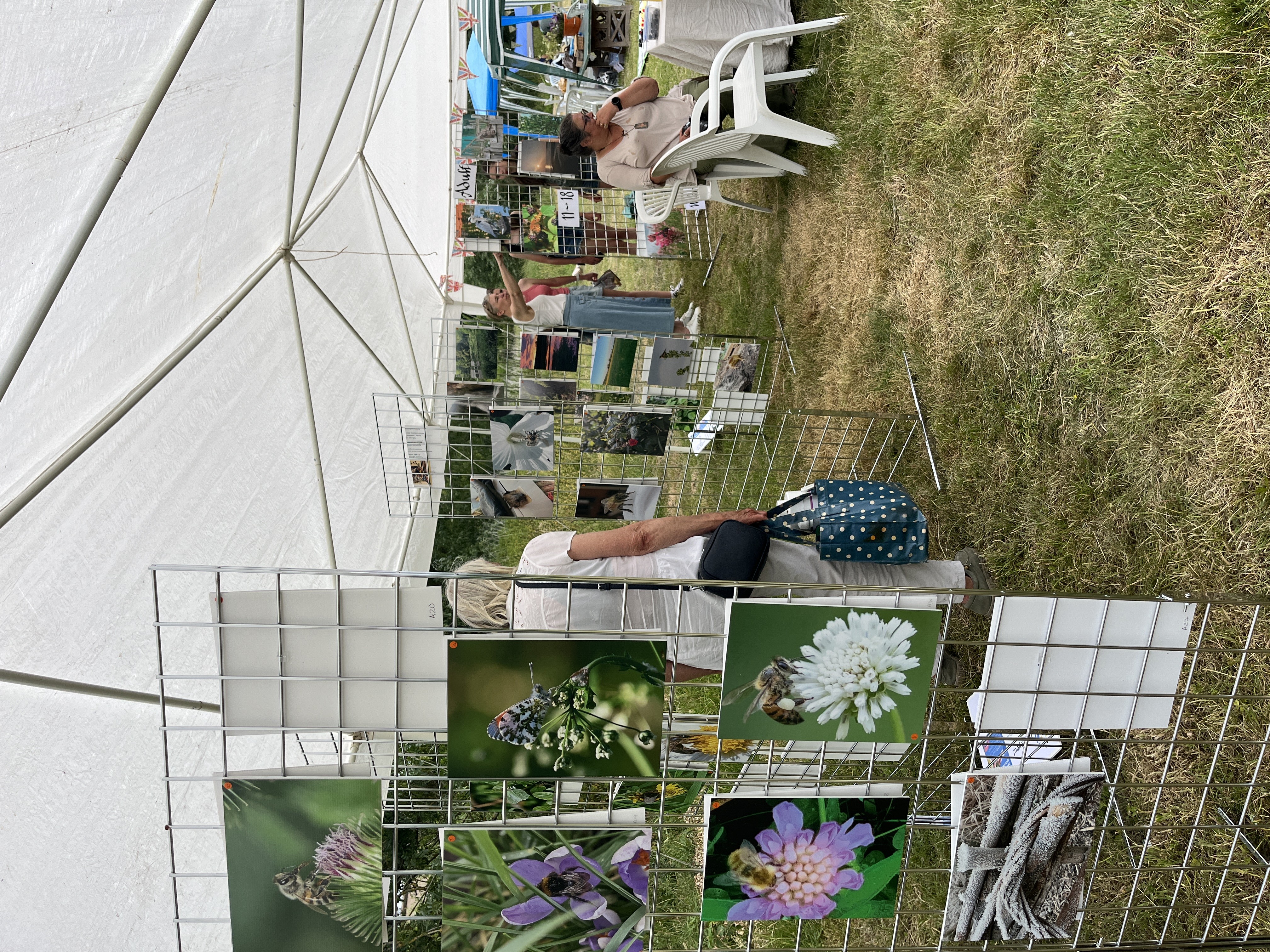 The Big Midsummer Nature Celebration