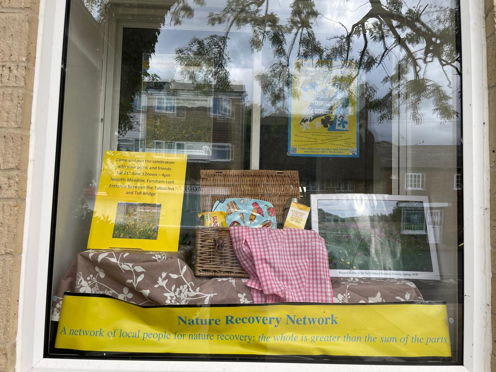 Nature Celebration Library Window - Catriona Bass