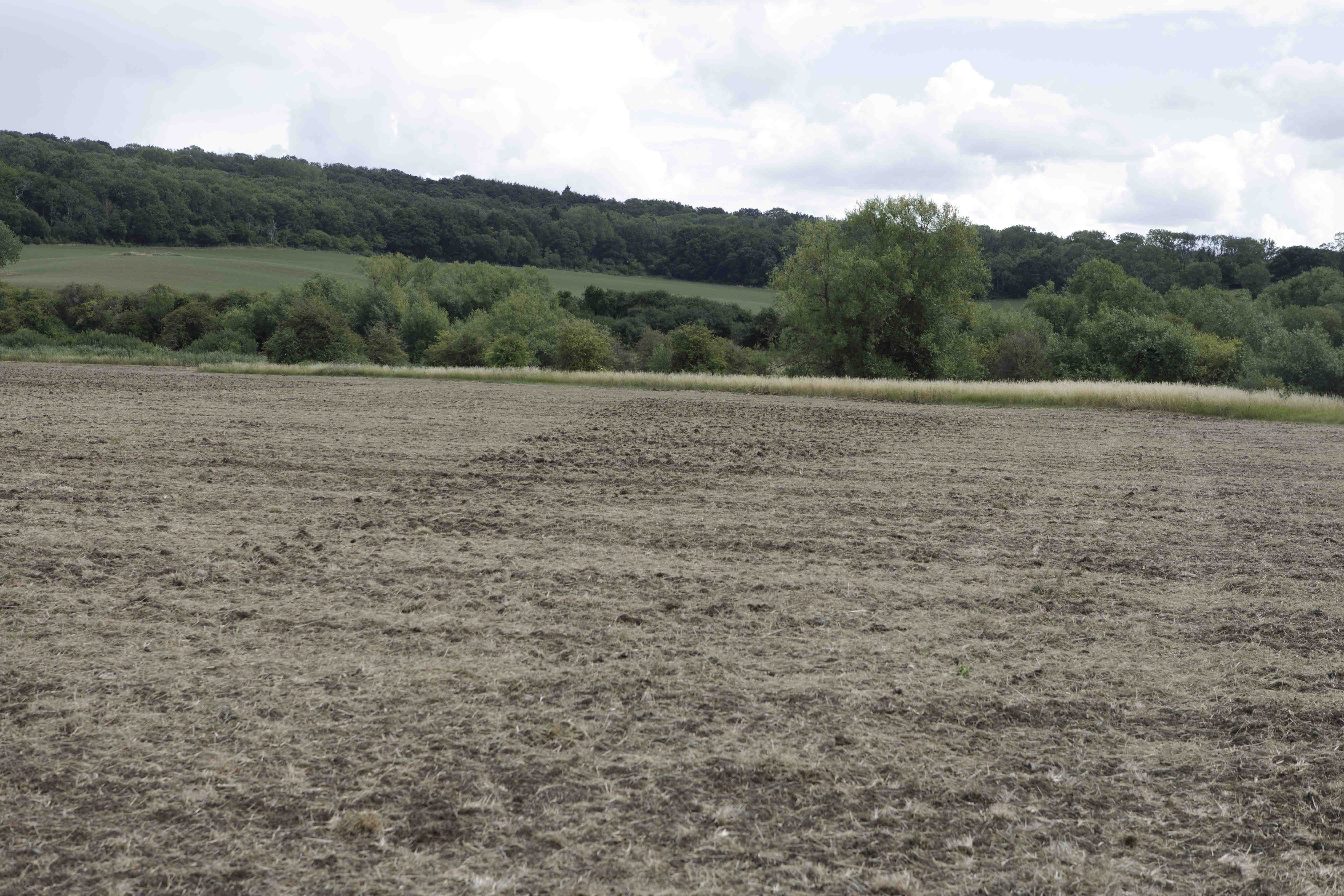 30seed spread with gaps