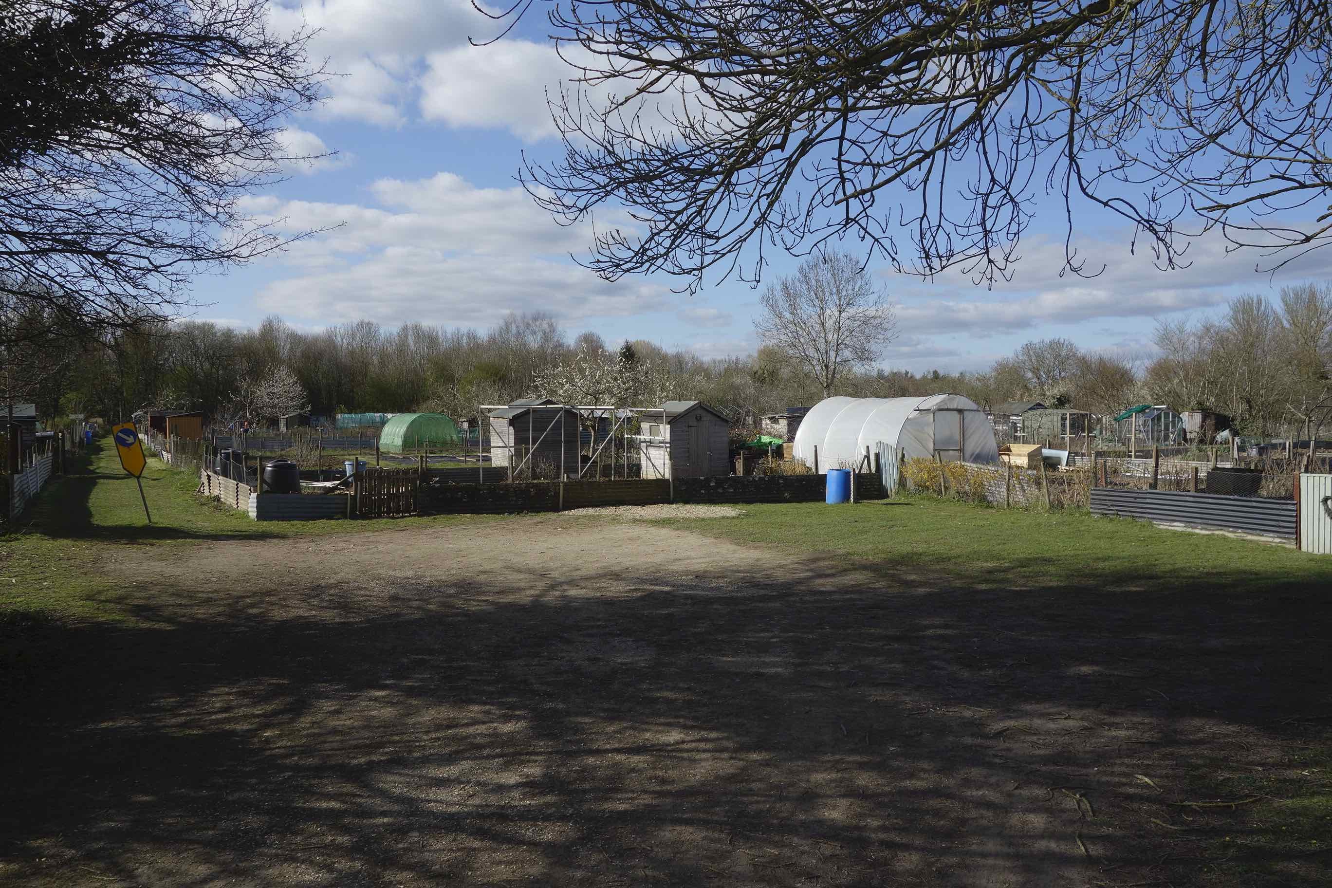 allotment_DSC6031