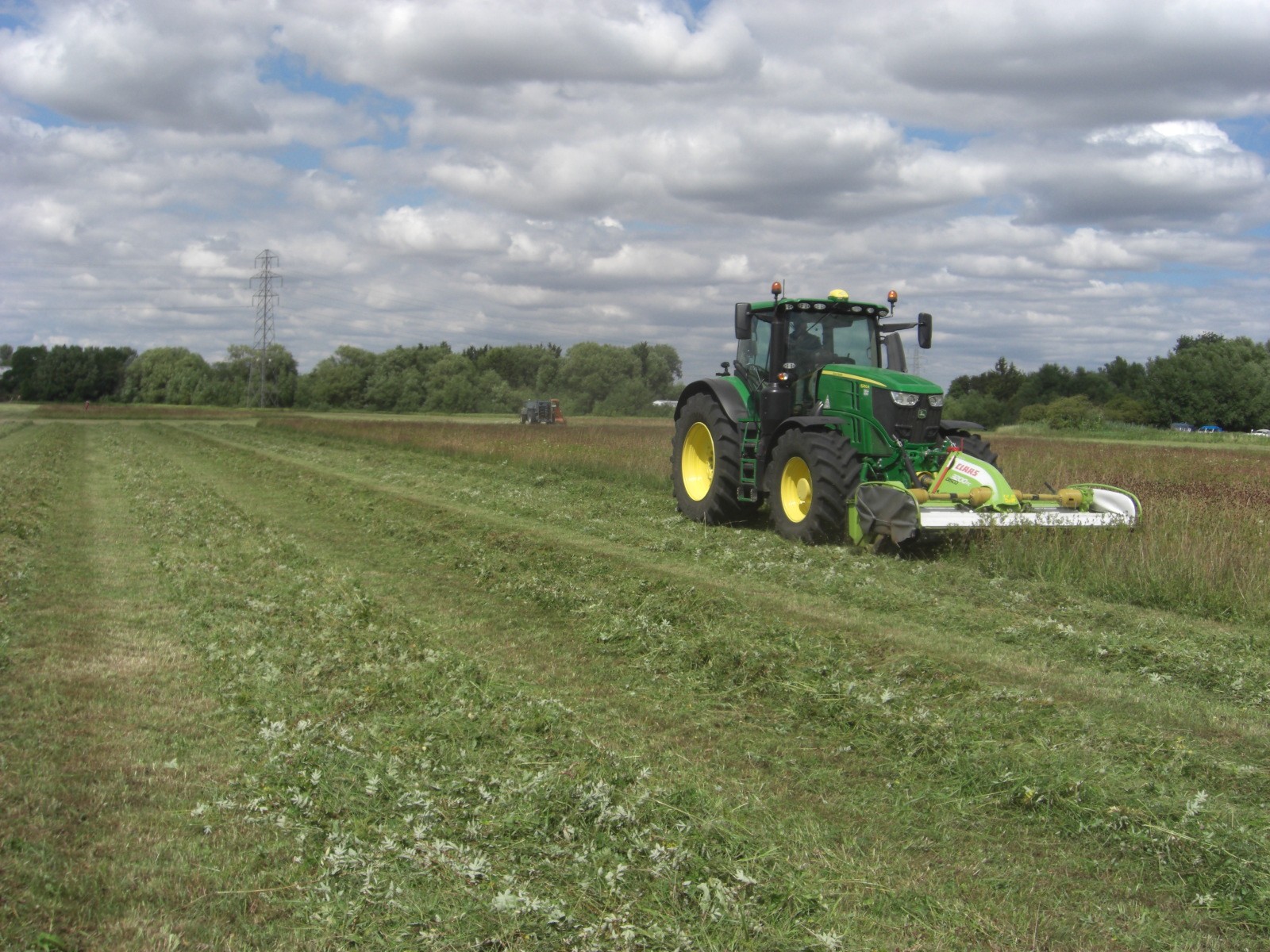 Green_hay_mow_CIMG1761