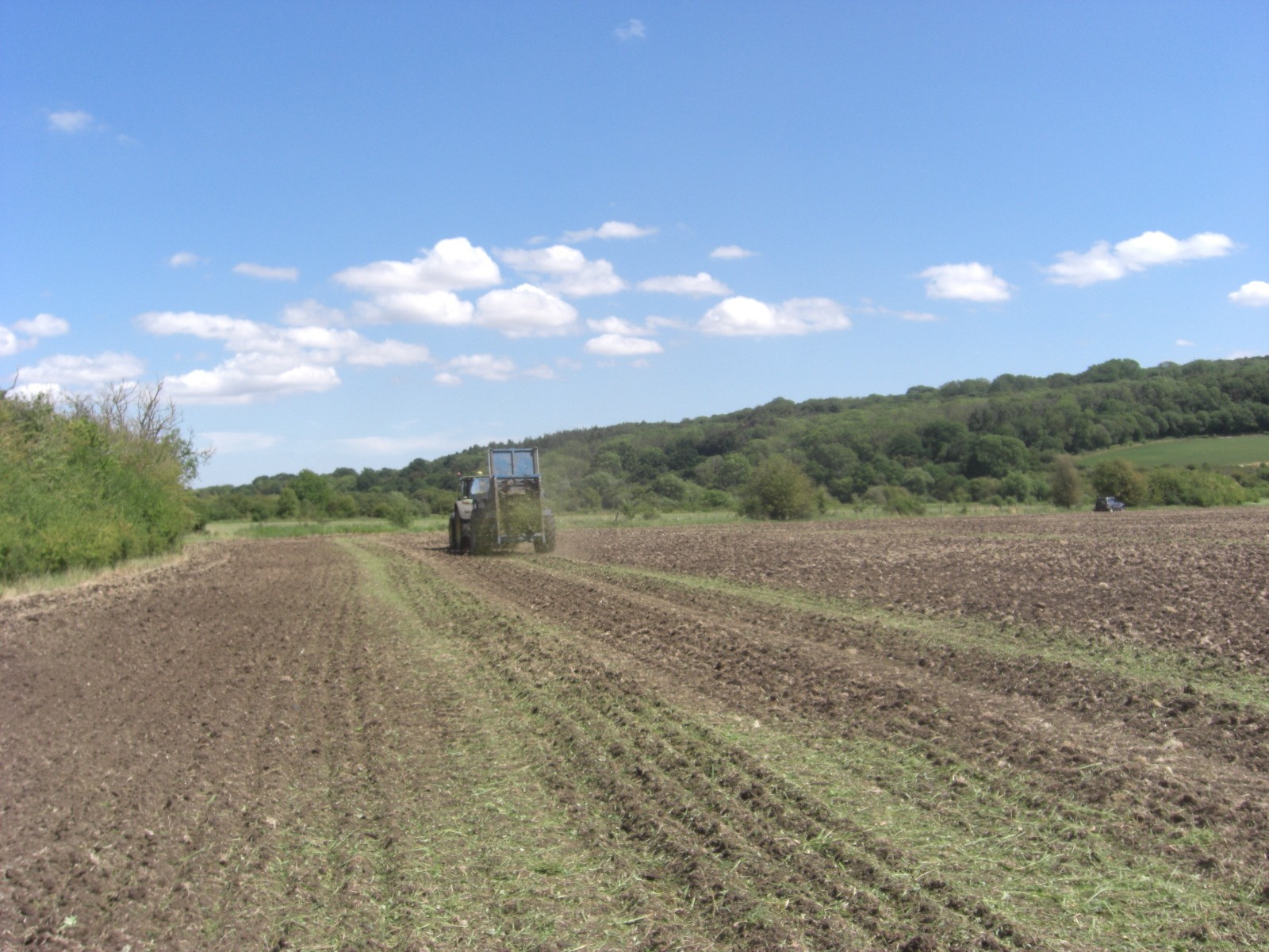 Green_hay_Will_CIMG1744