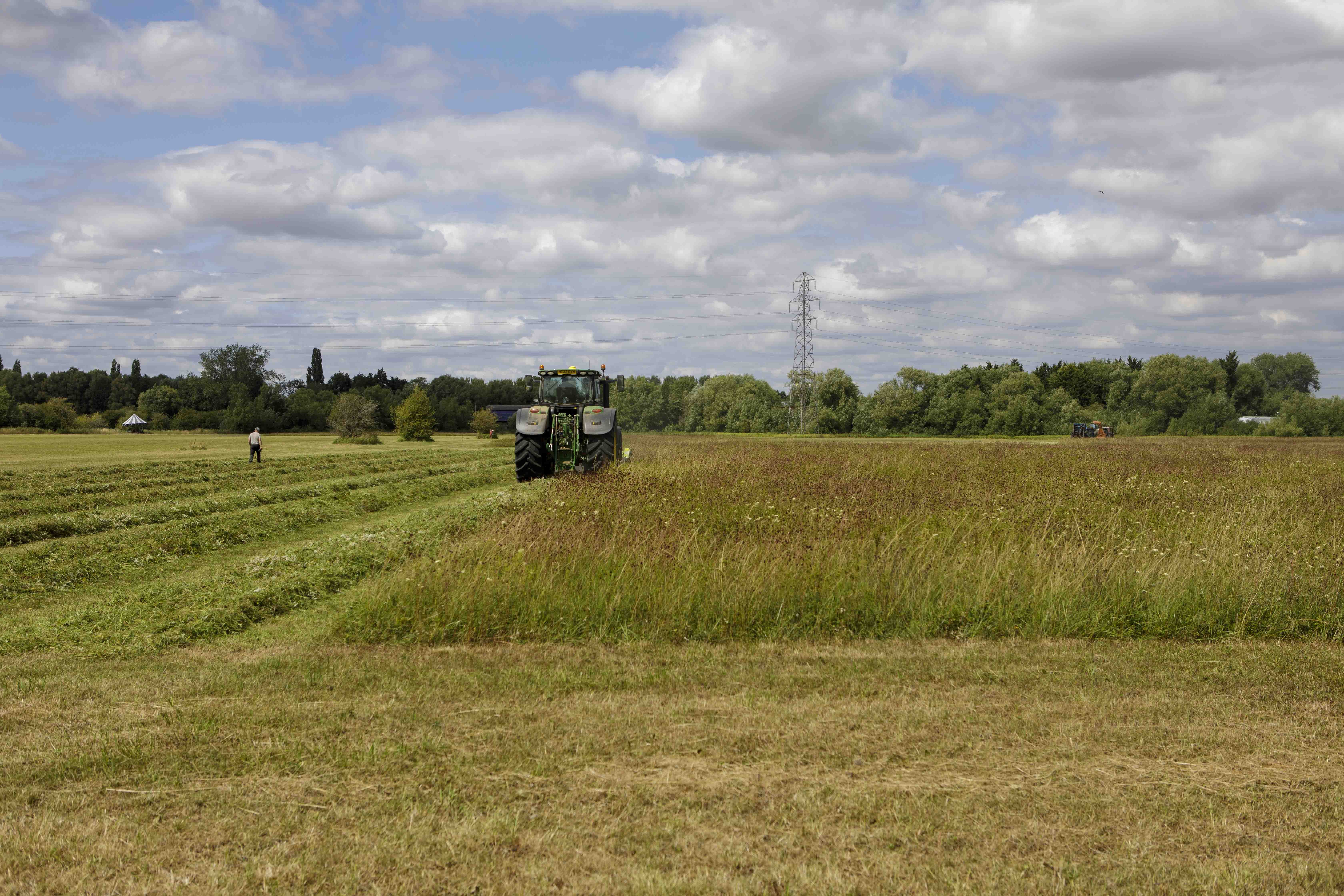 13Mowing-9907