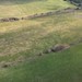 changeable_DJI_0953