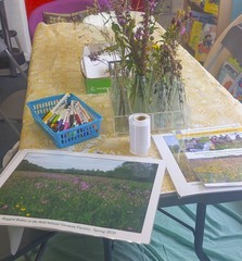 Eynsham Library-5
