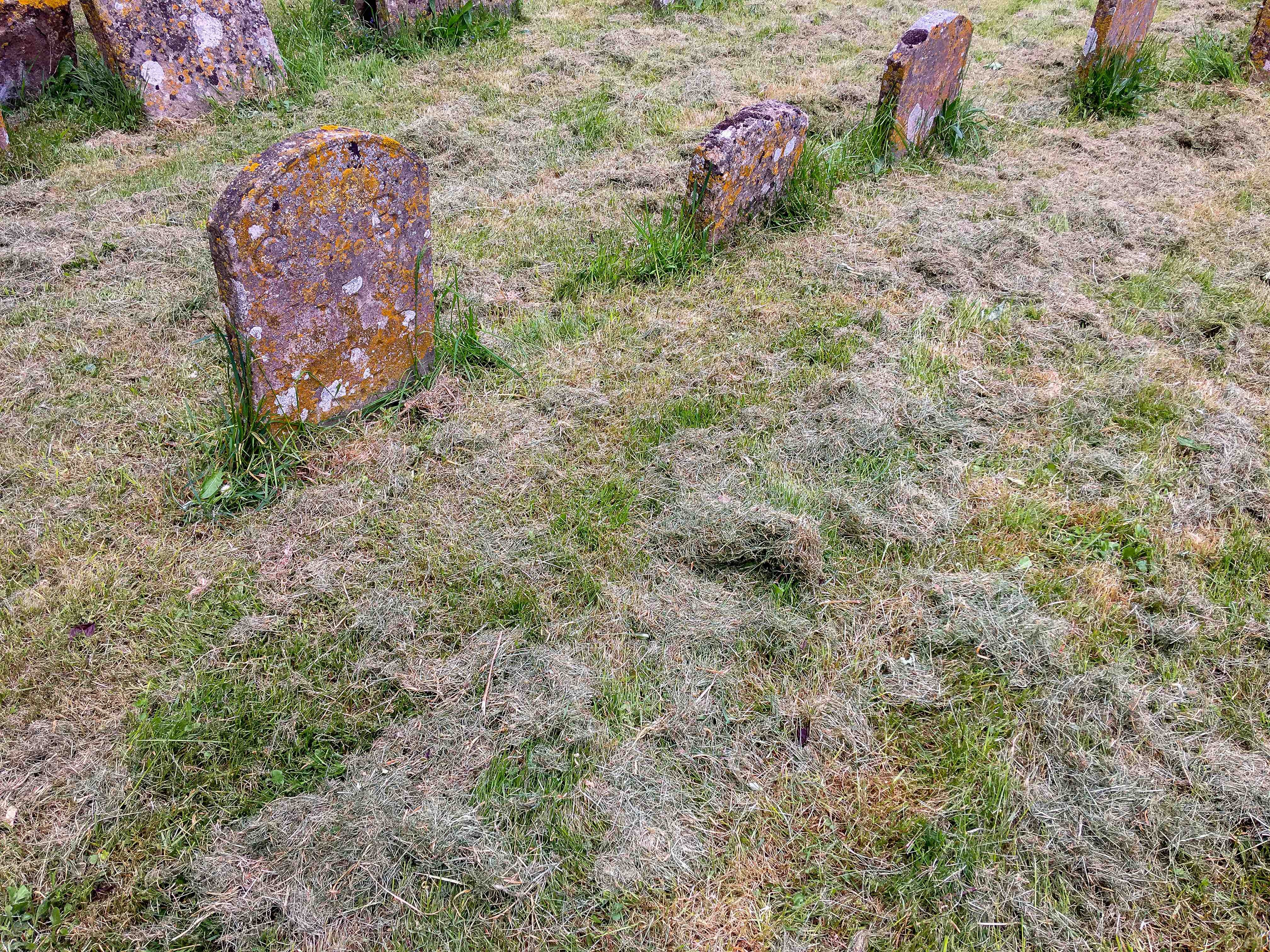 NRN websiteChurchyard_mow3_7721