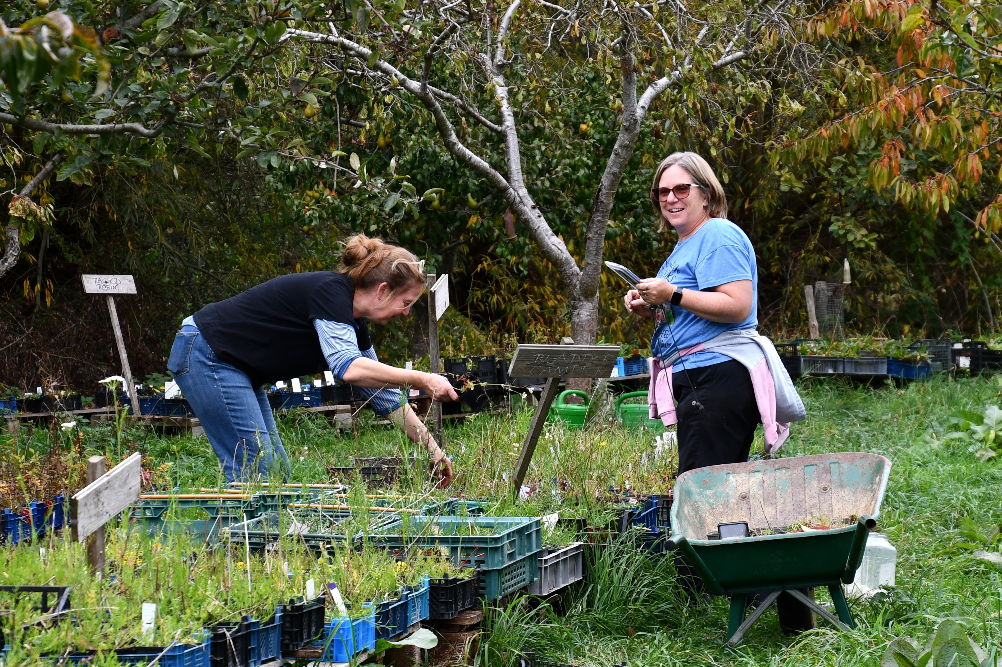 Jodie & Kate Auditting