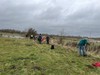 Hedge Planting on Swinford Meadows Jan26 - Catriona Bass 4