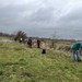 Hedge Planting on Swinford Meadows Jan26 - Catriona Bass 4
