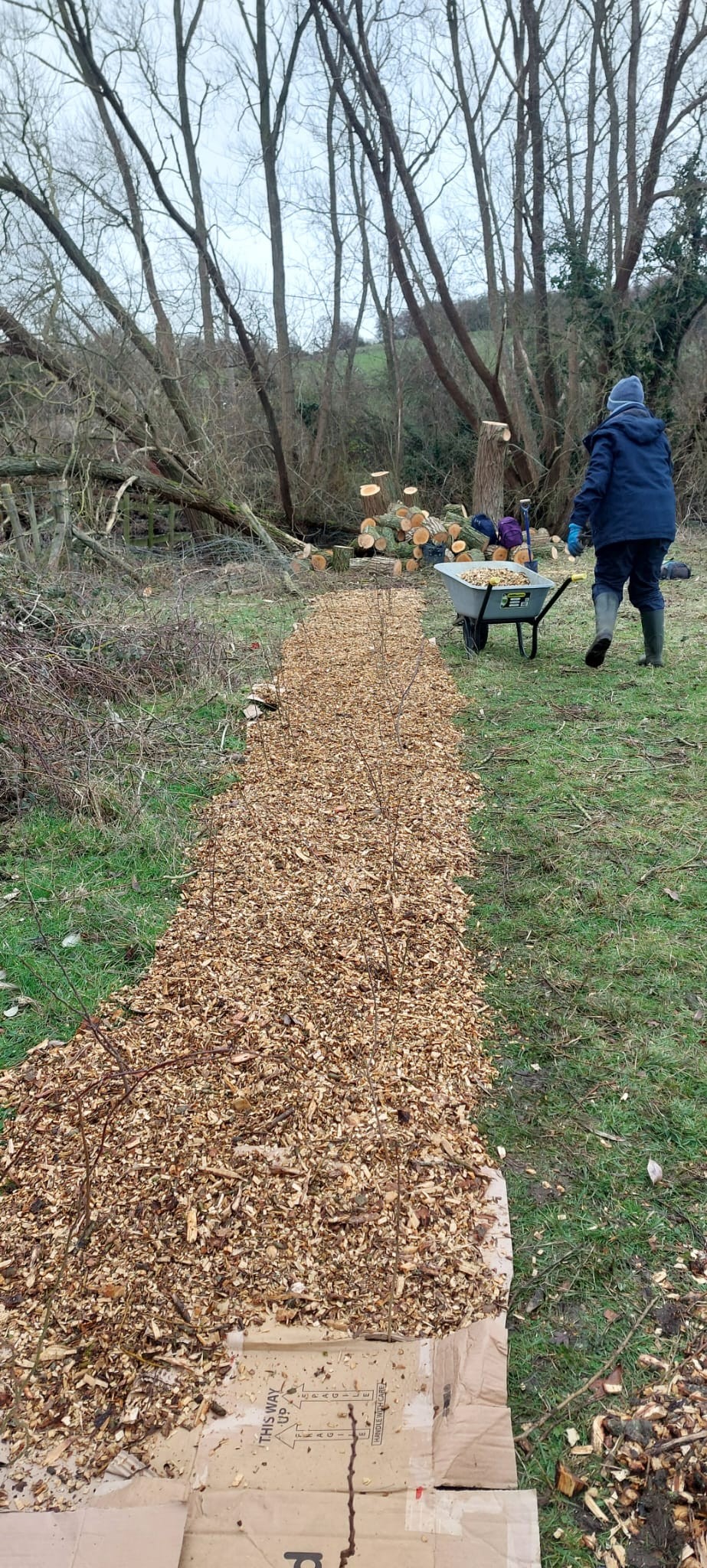 Hedge Planting on Swinford Meadows Jan26