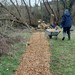 Hedge Planting on Swinford Meadows Jan26