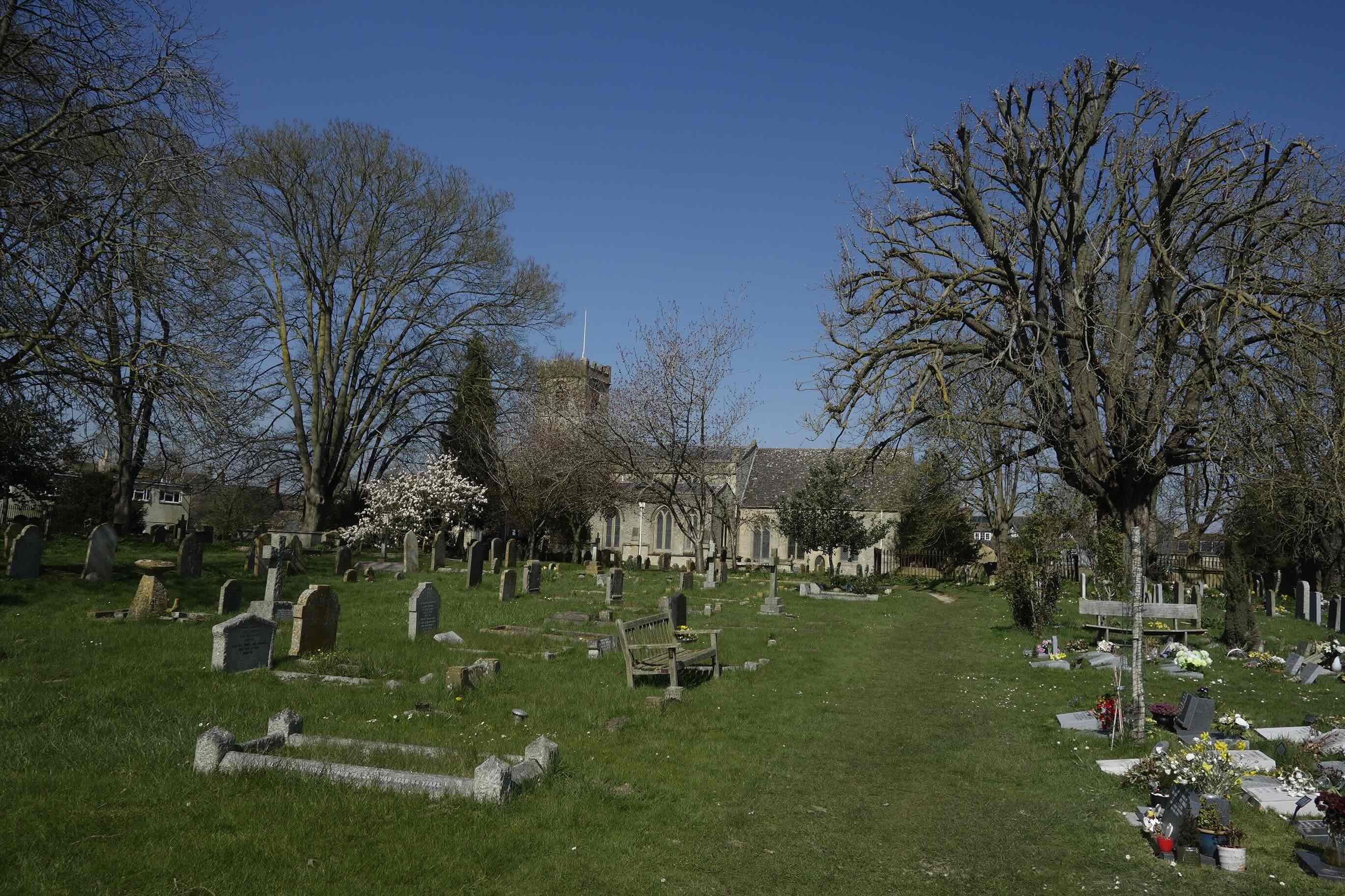 chuirchyard_trees_DSC5973