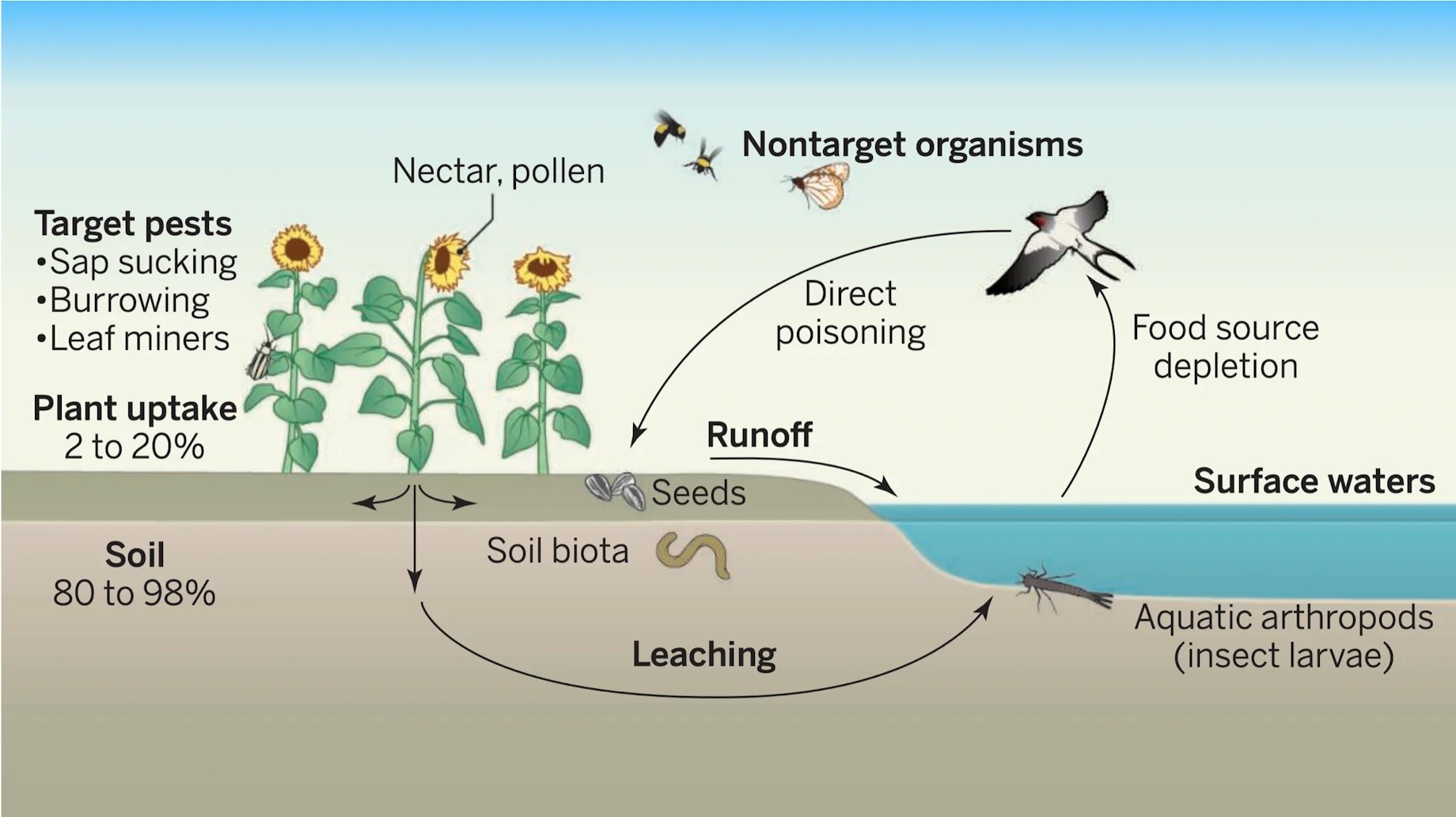neonicotinoid_environment