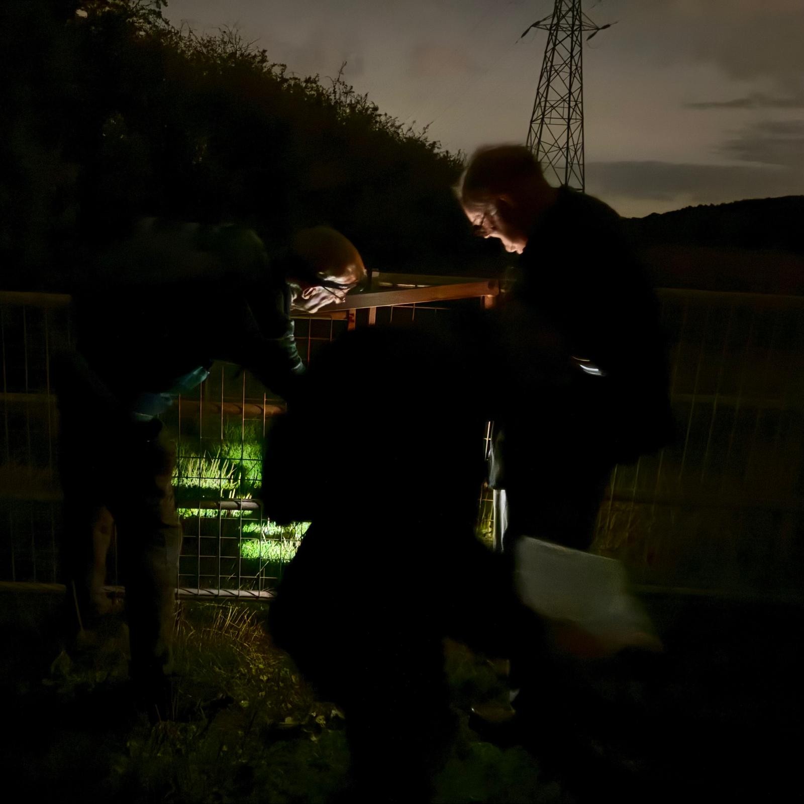 WhatsApp Image 2025-09-05 at 22.56.54 (2)