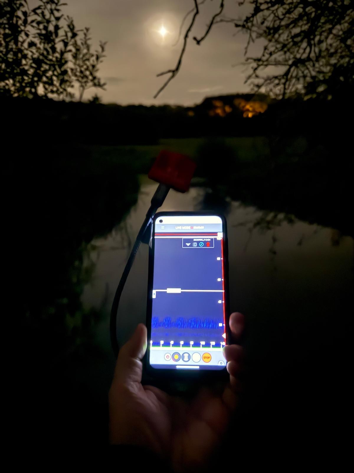 WhatsApp Image 2025-09-05 at 22.56.54