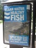 healthy_fish_CIMG2628