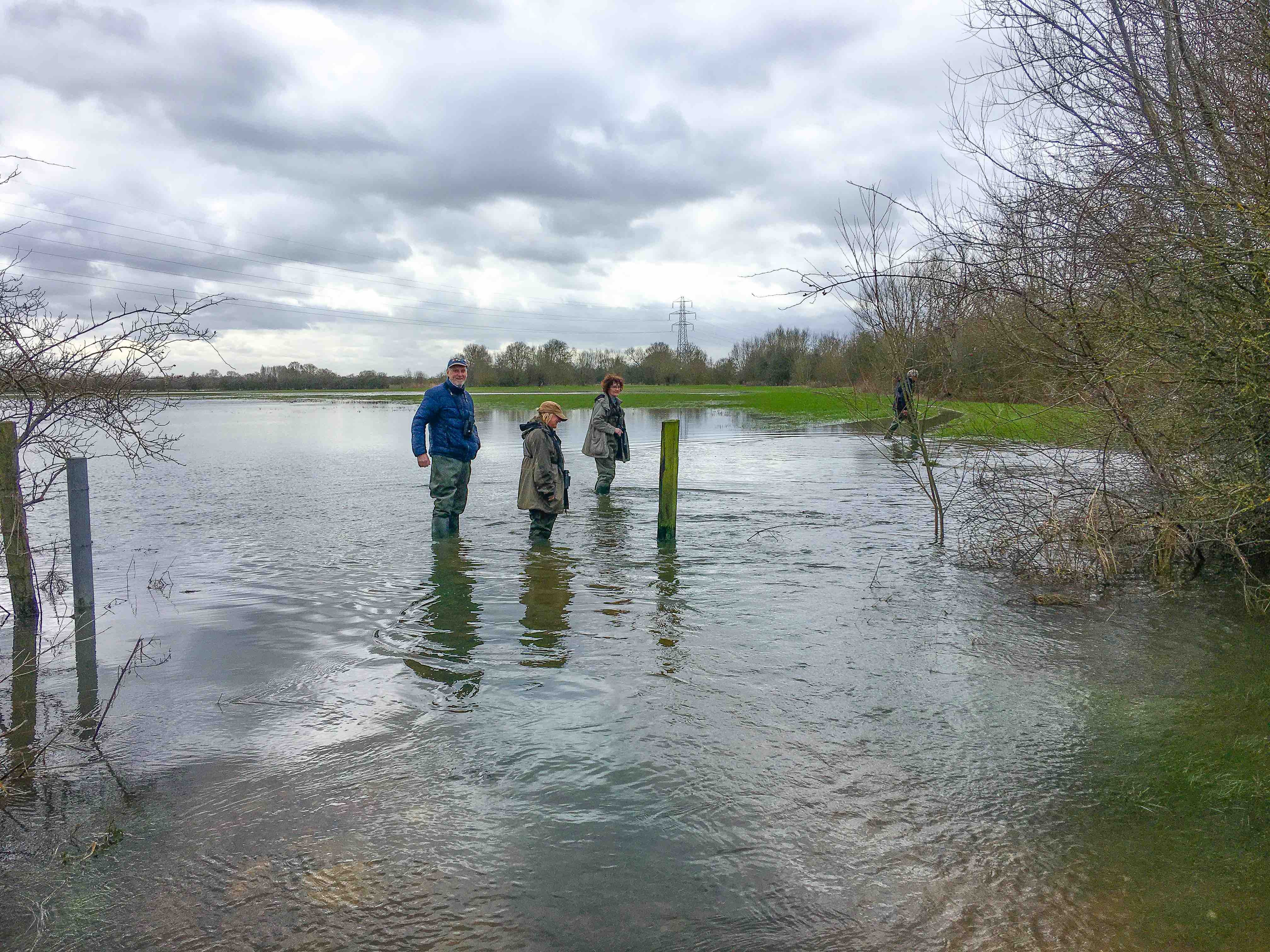 NRN website-4_Birders_Flood