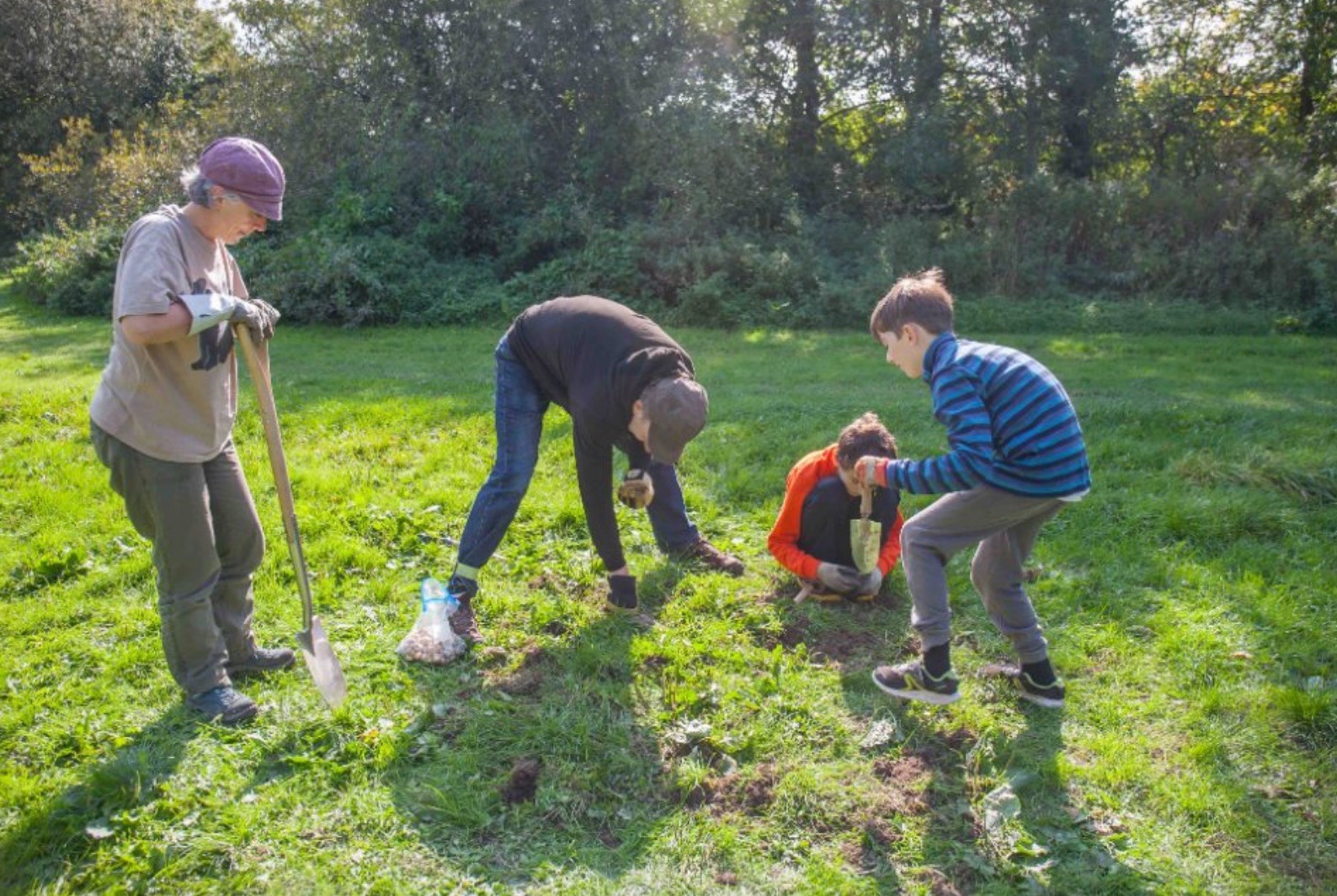 fritiliary_playingfield