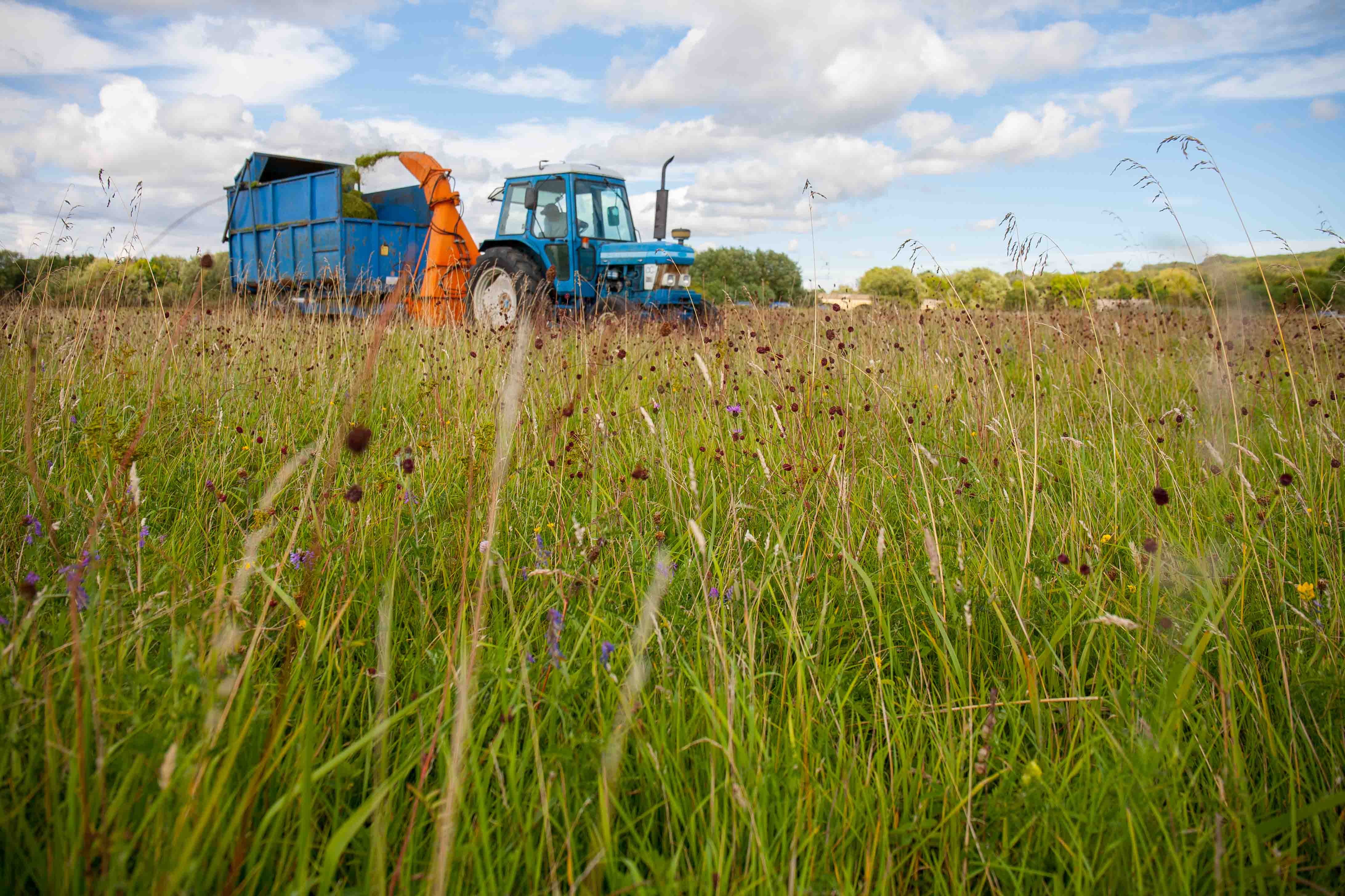 greenhayforageharvester-0090