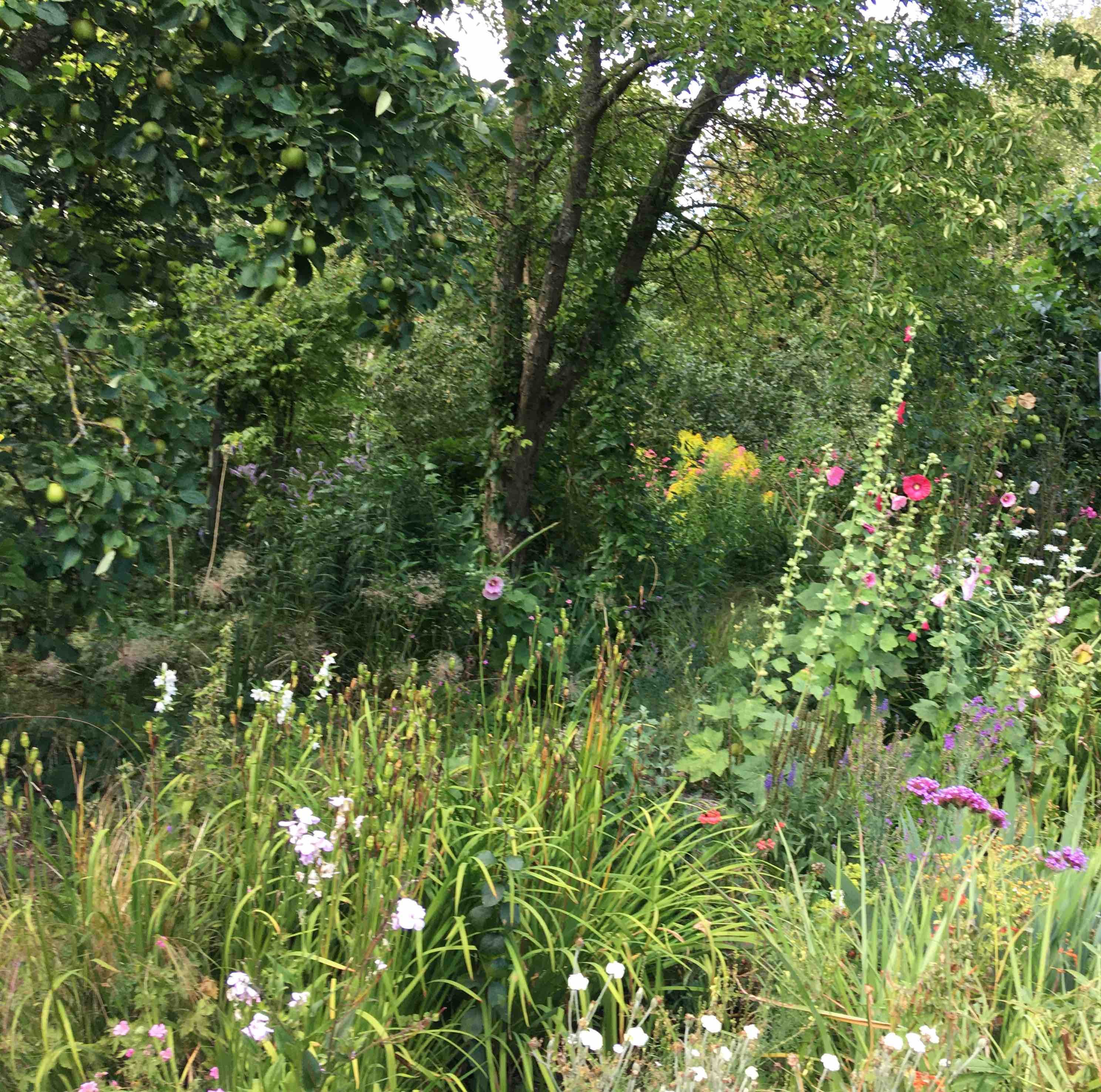 Heather's gardencrop