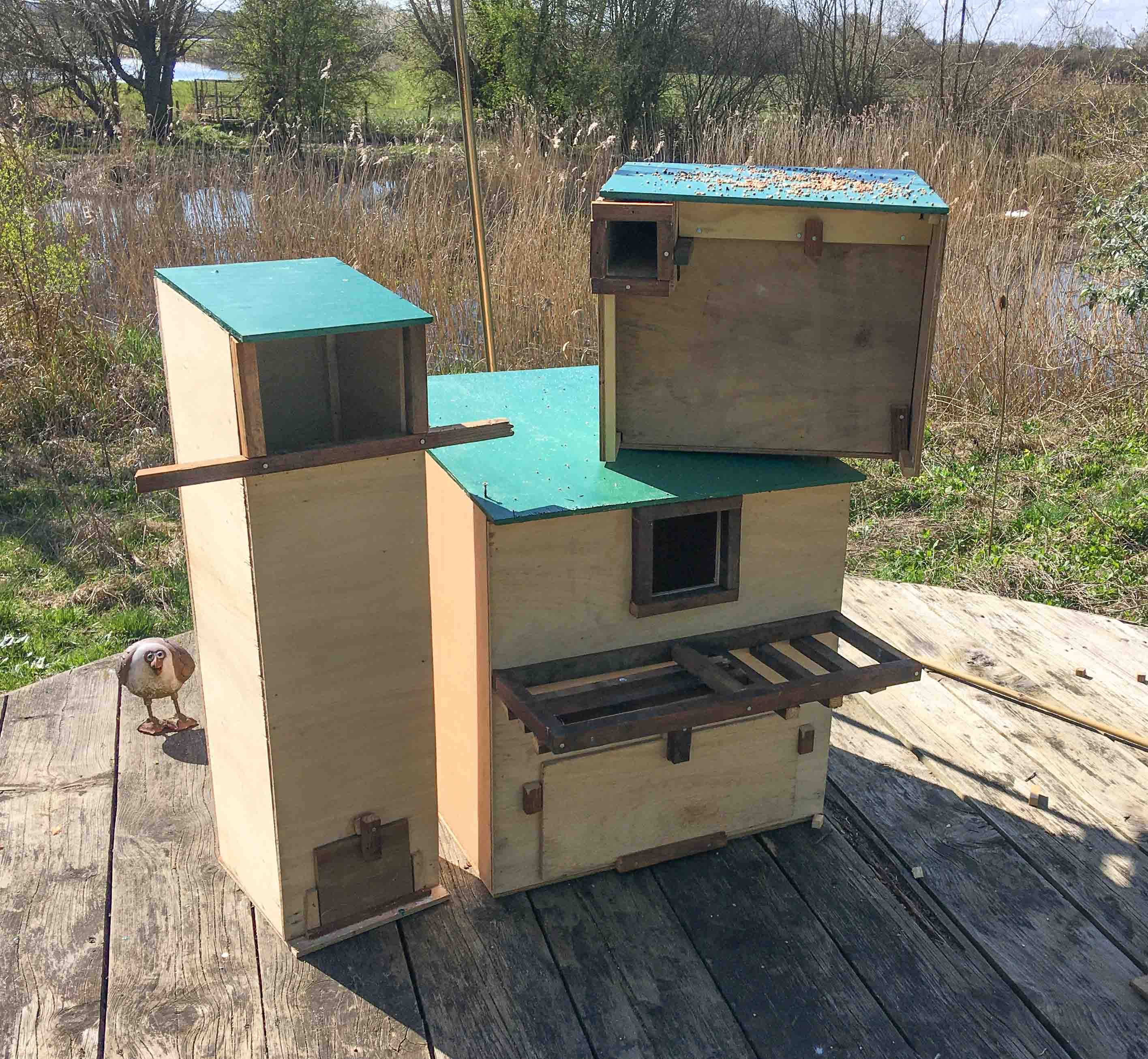 Owl_boxes_StLeonards_NRN-7505