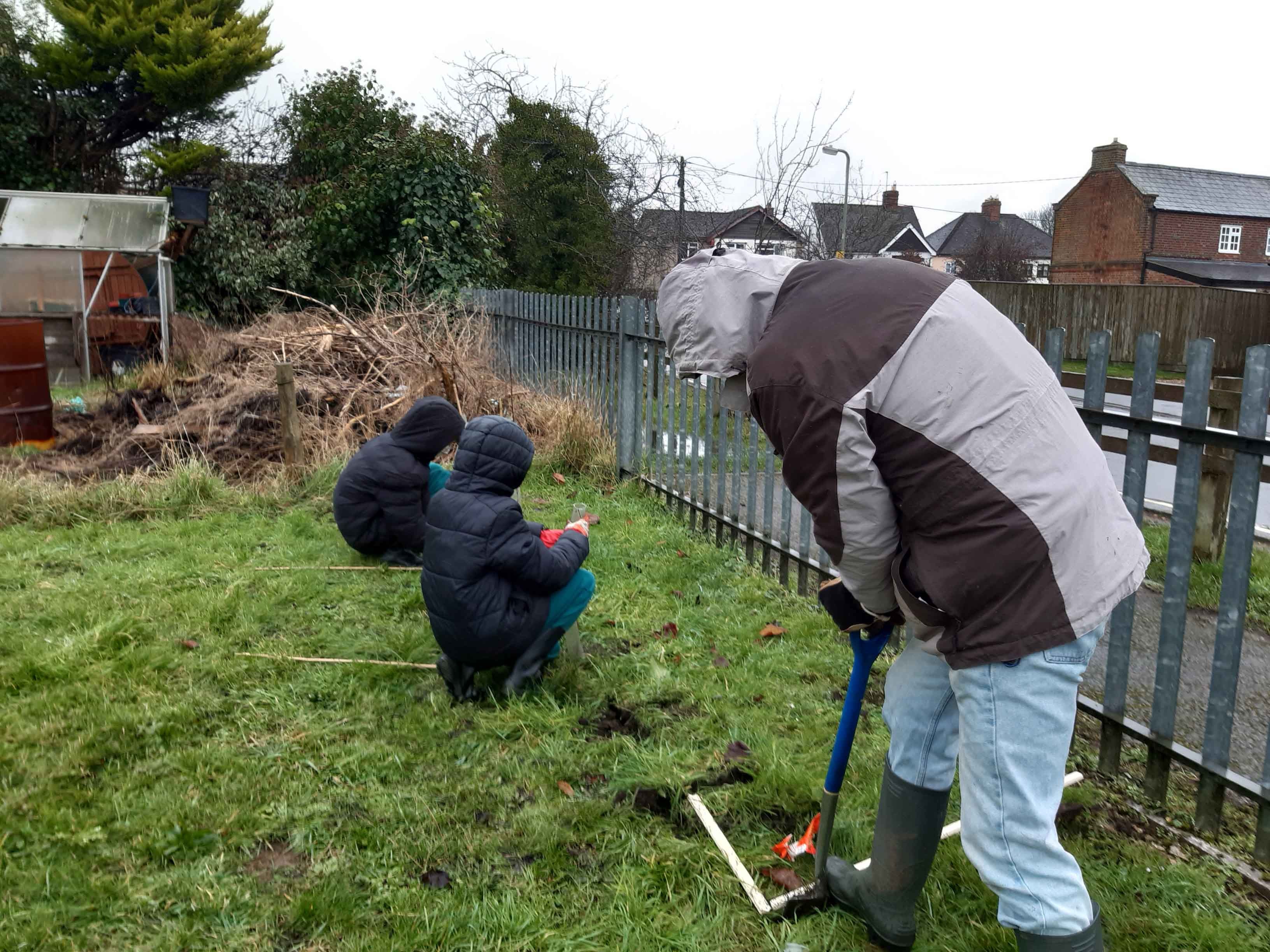 Wright Family Hedging