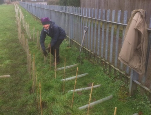 Gill Parry hedging her bets.